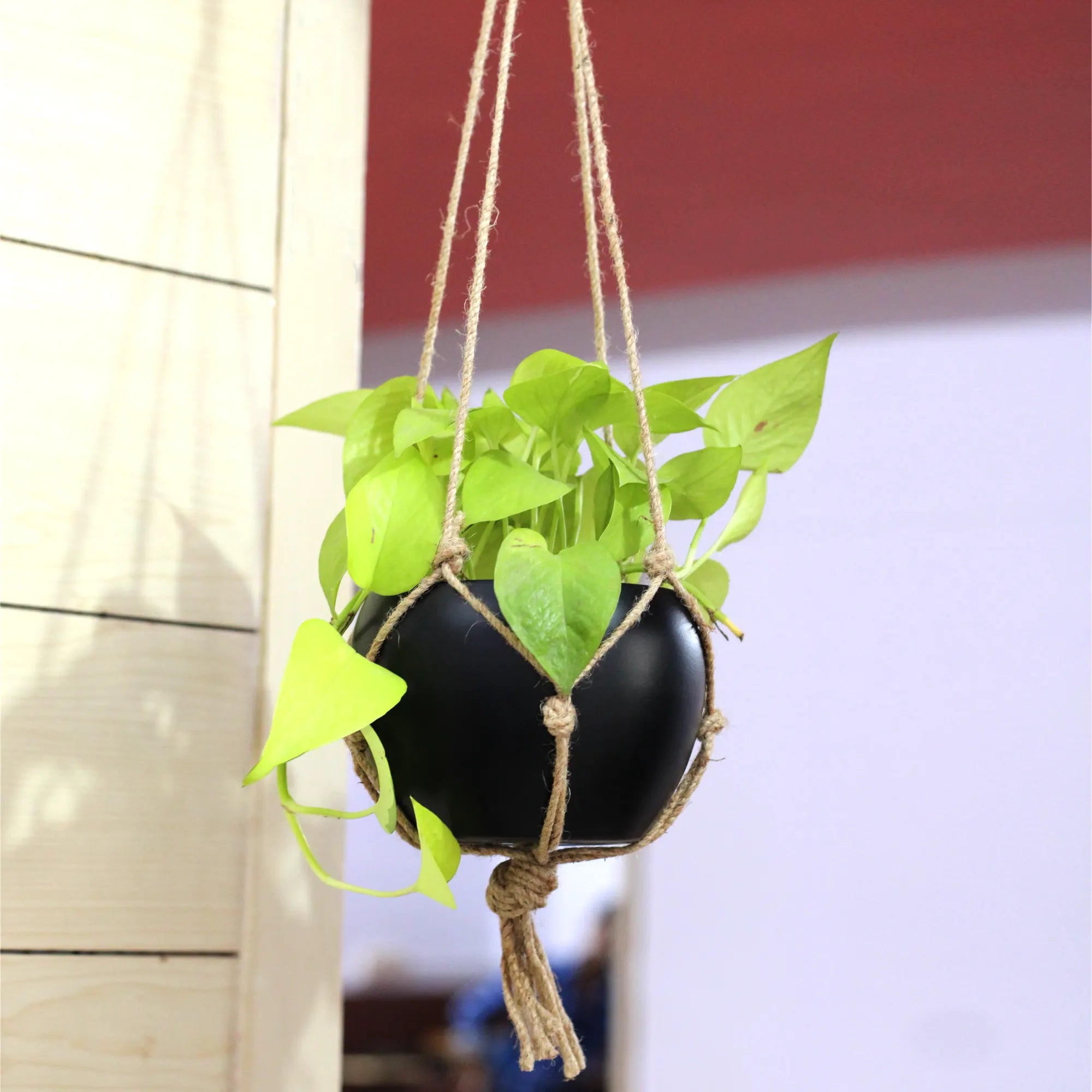 Decorative Hanging Round Planter with Natural Jute Rope Matte
