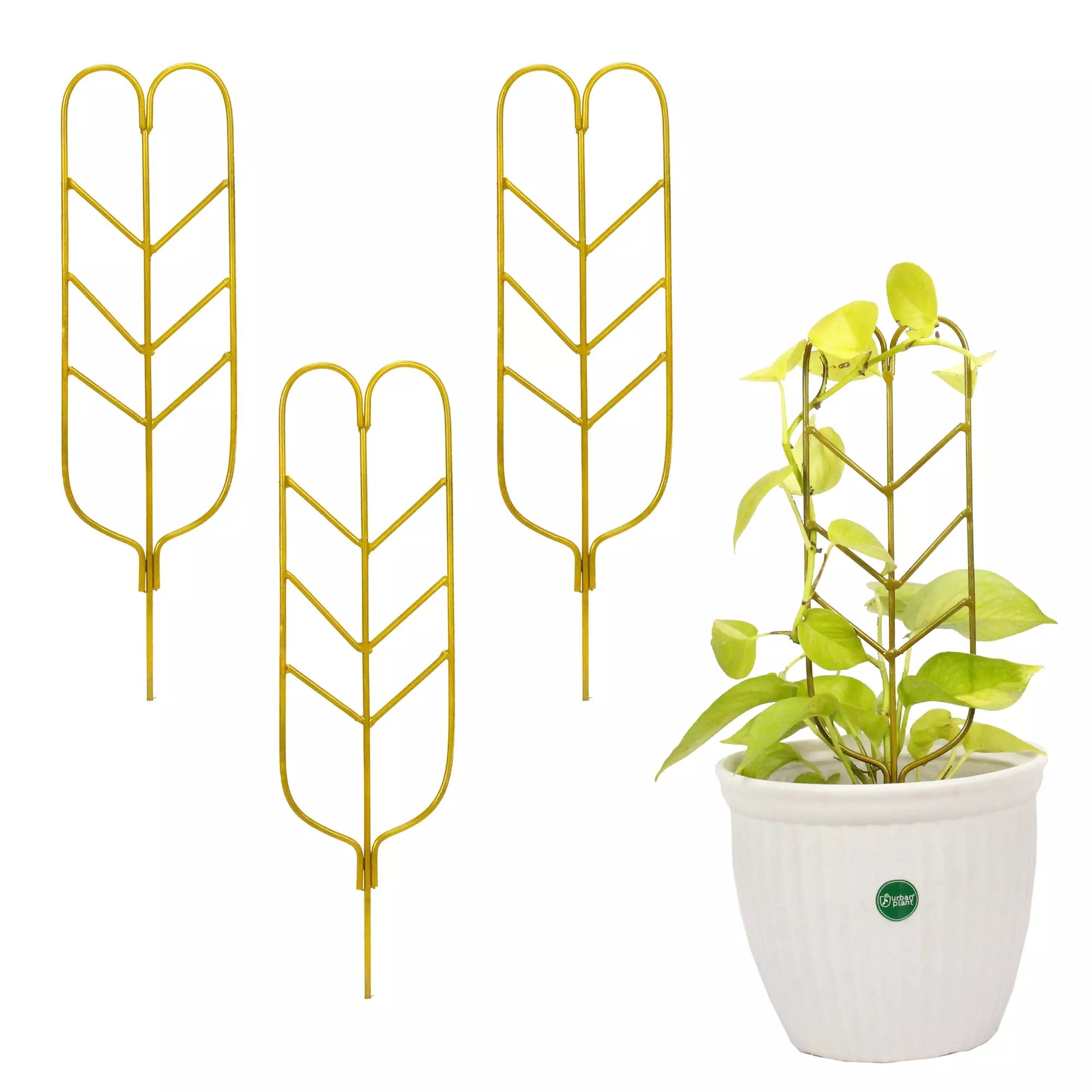 Brass Plant Support Gold