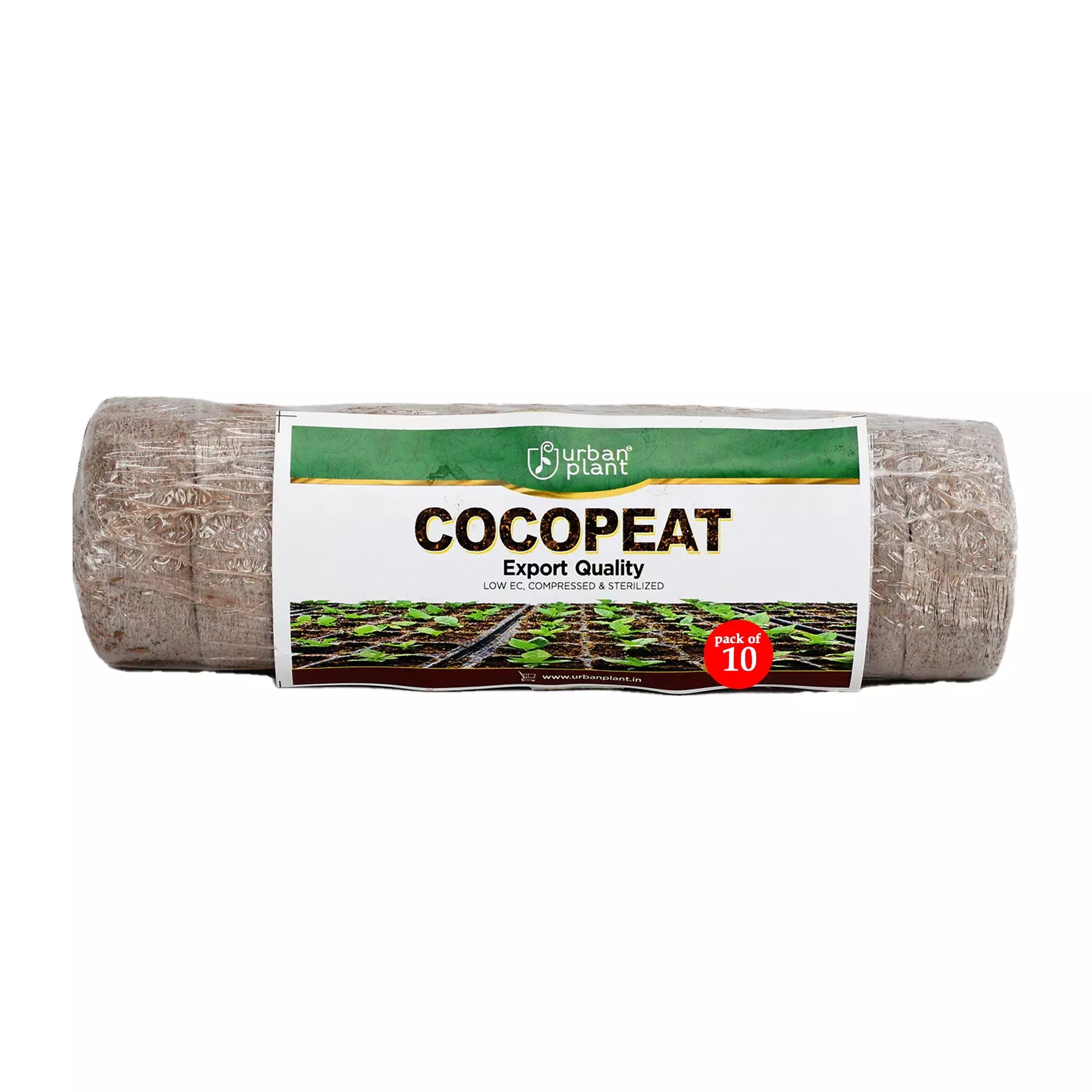 Cocopeat Seedling Coin Disk with Plug