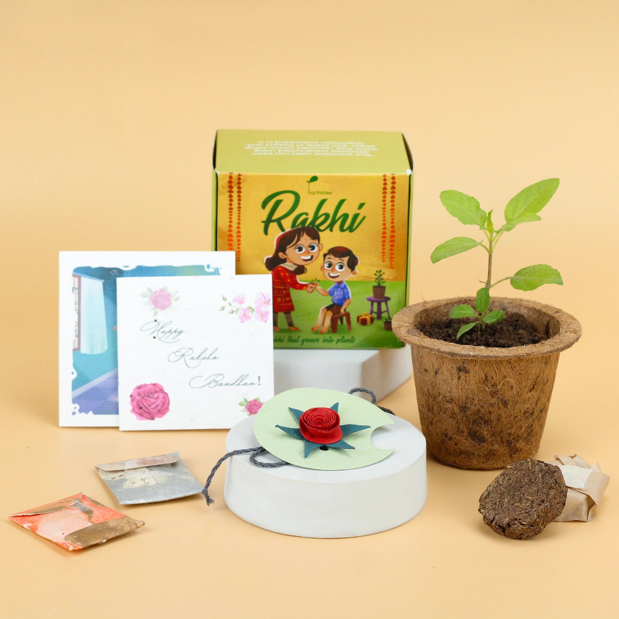 Urban Plant Plantable Rakhi Kit | Eco-friendly Rakhi for Brother Urban Plant 