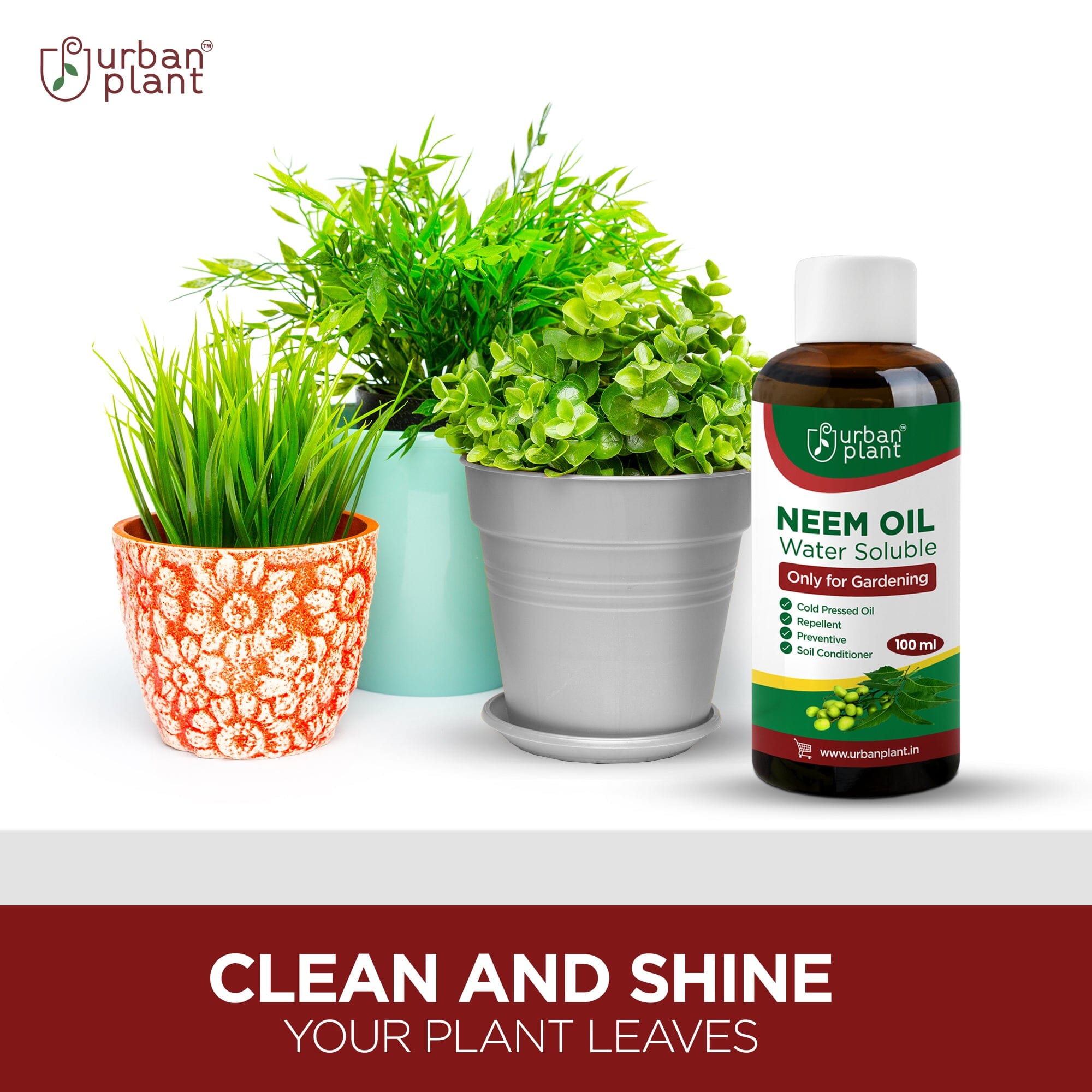 Neem Oil Water Soluble Organic Spray for Gardening Plant Care Urban Plant 