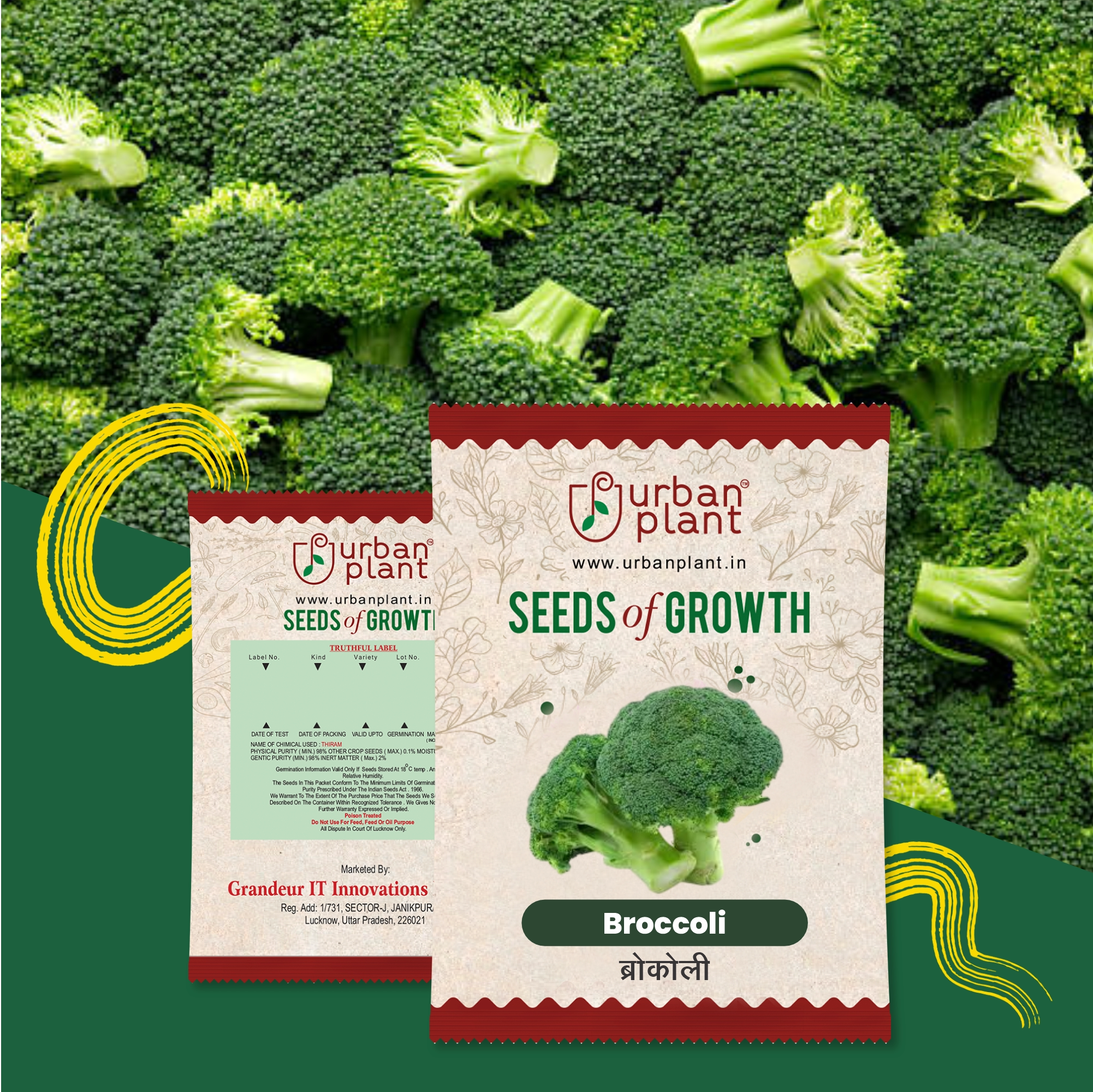 Broccoli Seeds Vegetable Seed Urban Plant 