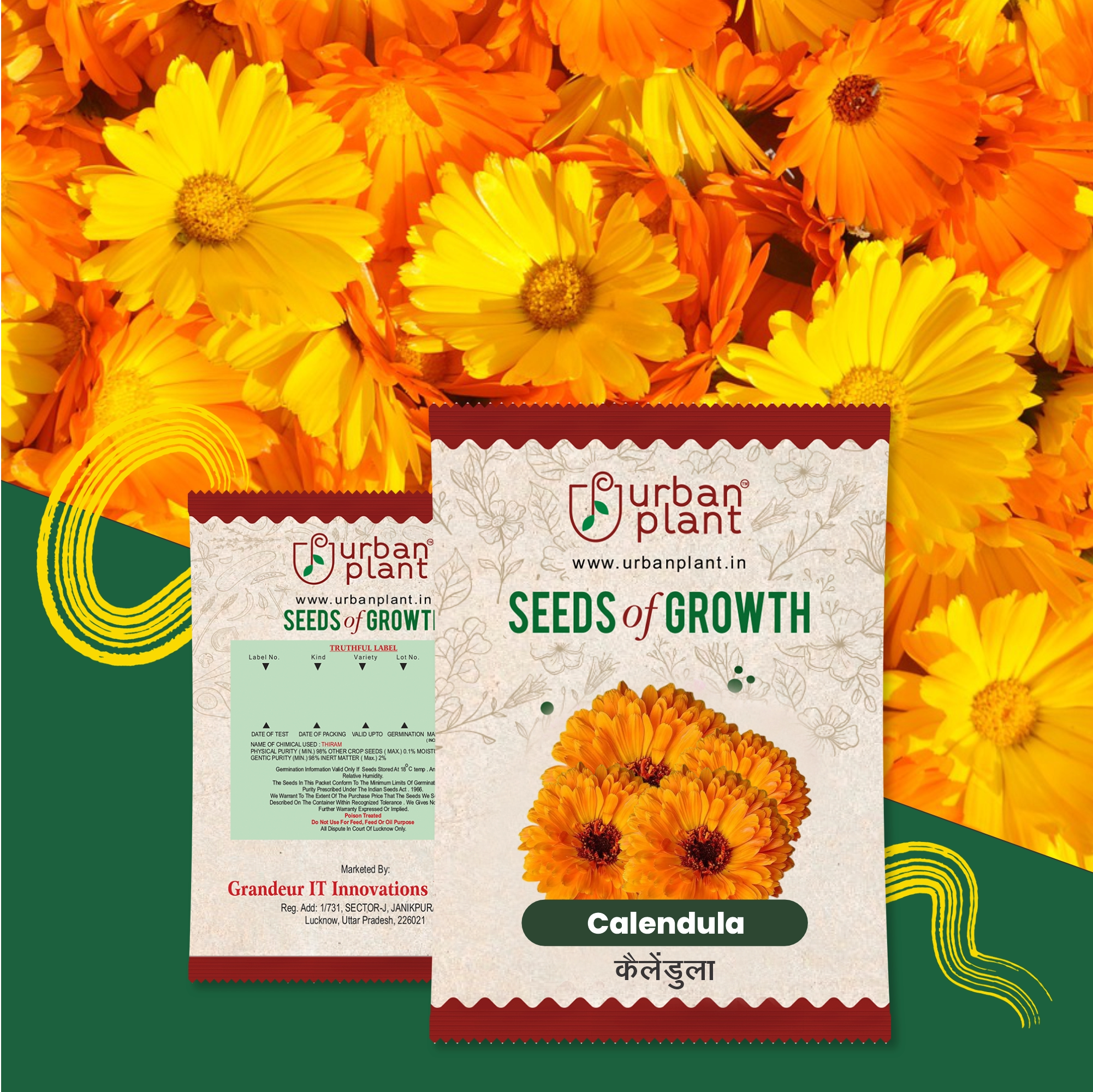 Calendula Flower Seeds Flower Seed Urban Plant 