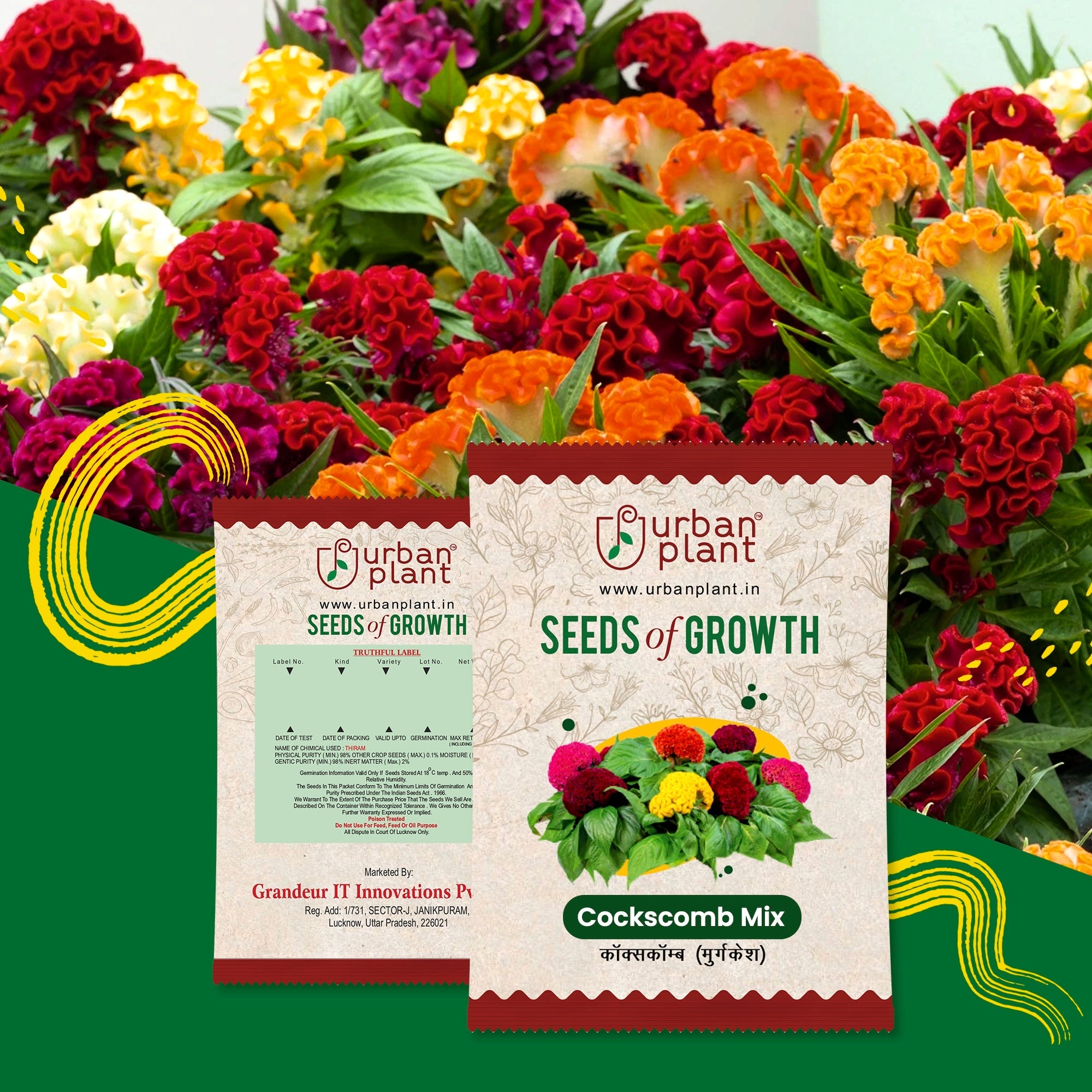 Cockscomb Mix Flower Seeds Flower Seed Urban Plant 