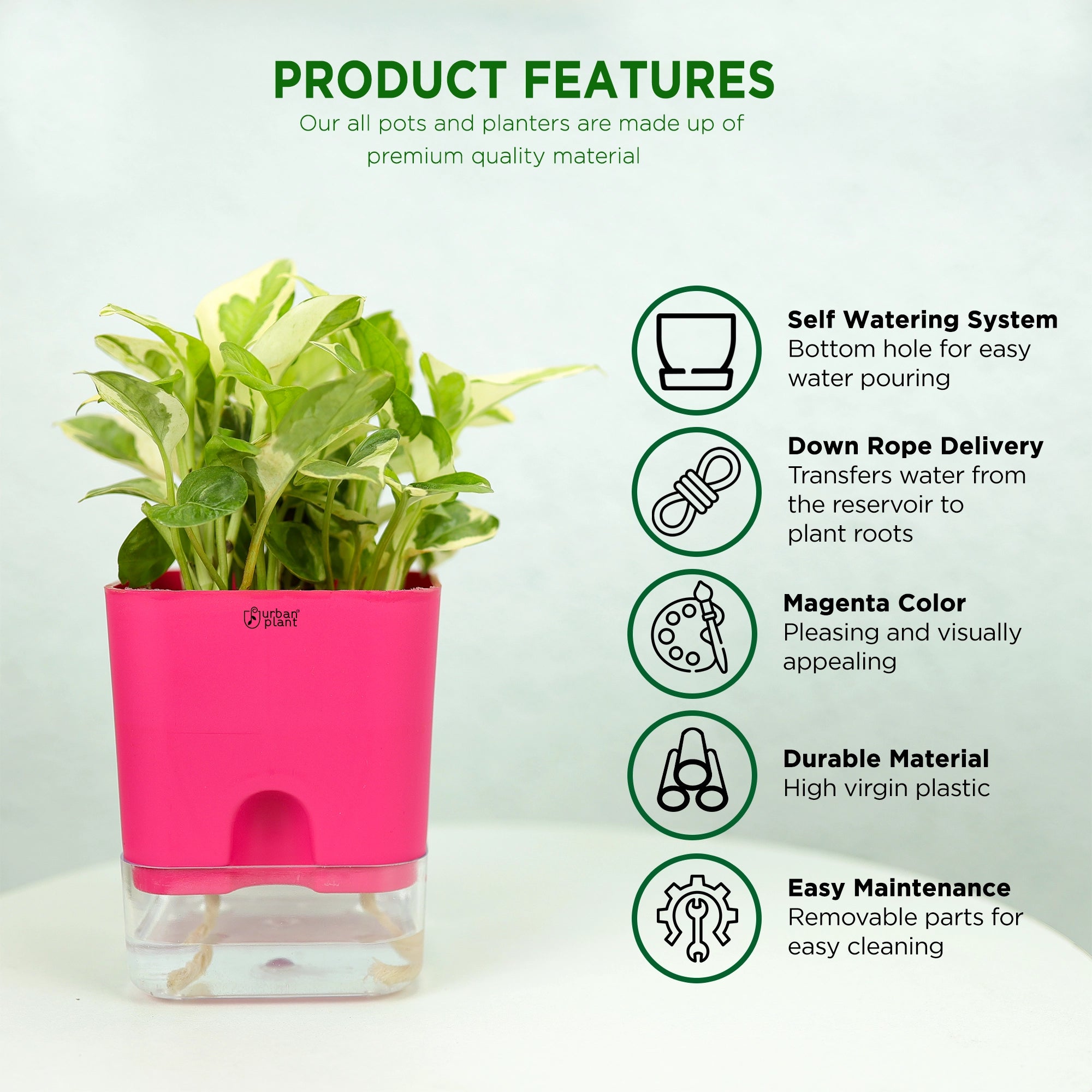 Self-Watering Pot - 5" Plastic Pot Urban Plant 