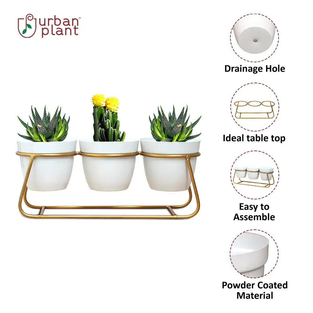 Table Trio Metal Planters Metal Planter Urban Plant 