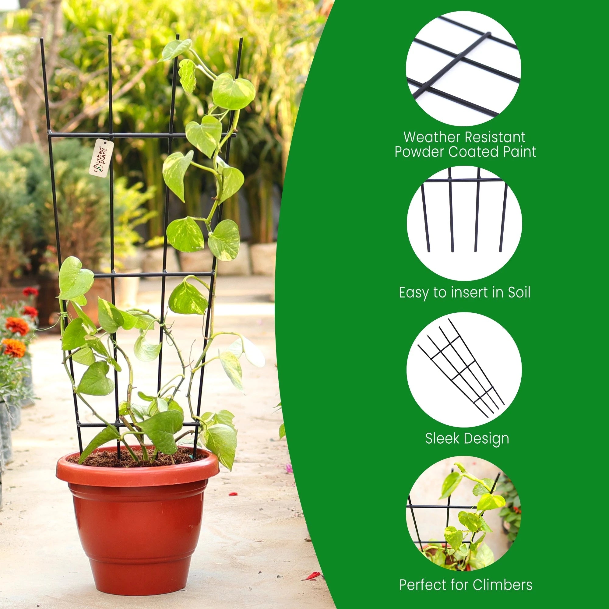 Urban Plant Greenweave Trellis for Climbing Plants Gardening Accessories Urban Plant 