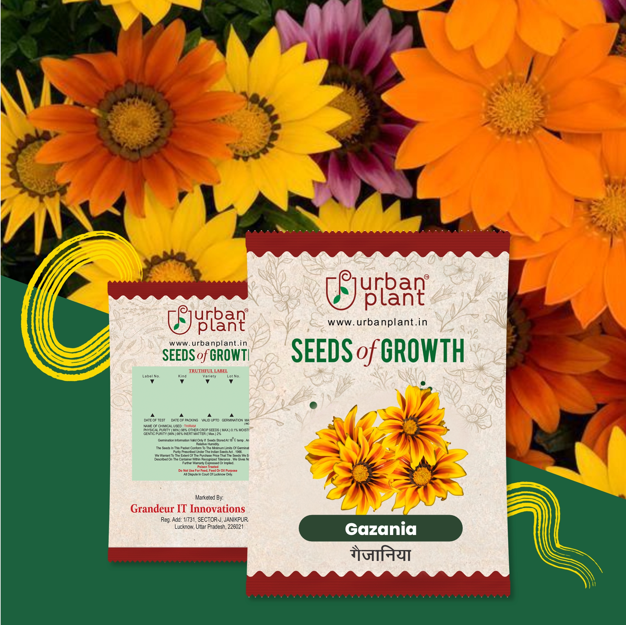 Gazania Flower Seeds Flower Seed Urban Plant 