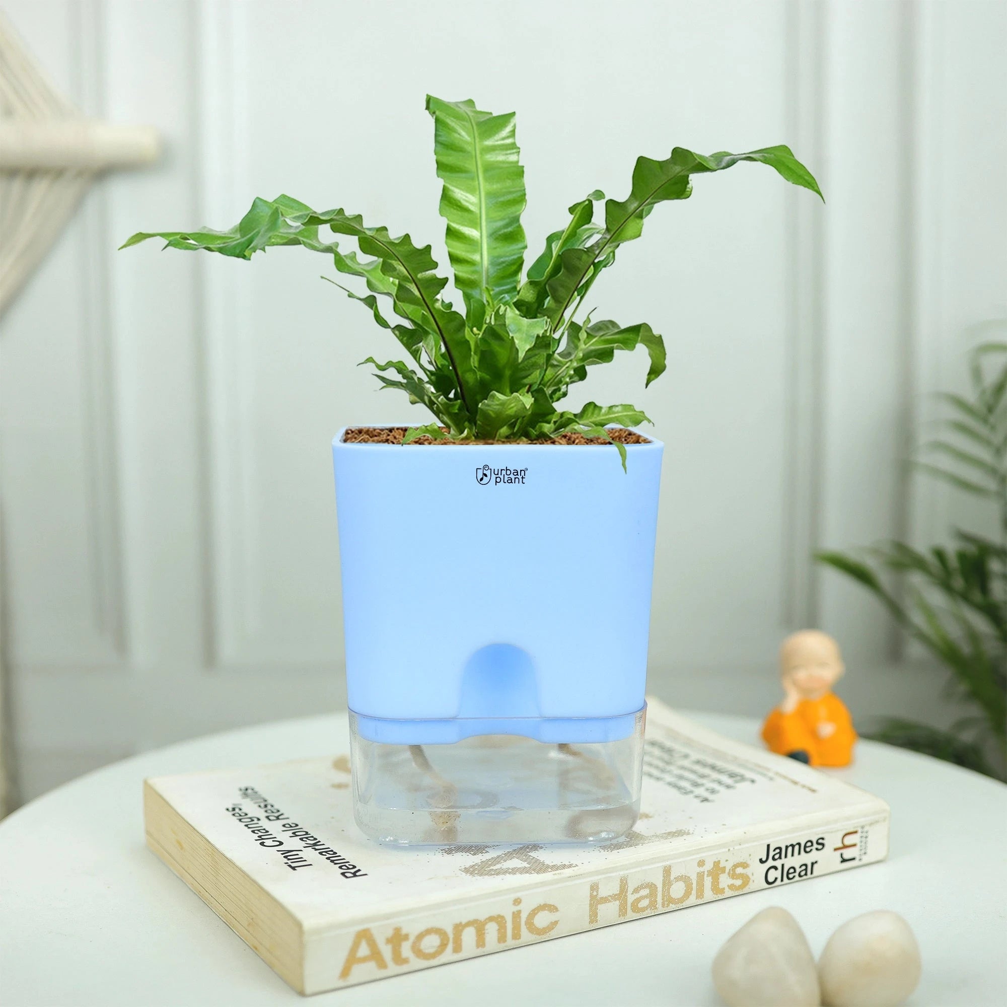 Aquaflow Self Watering Pot Plastic Pot Urban Plant 