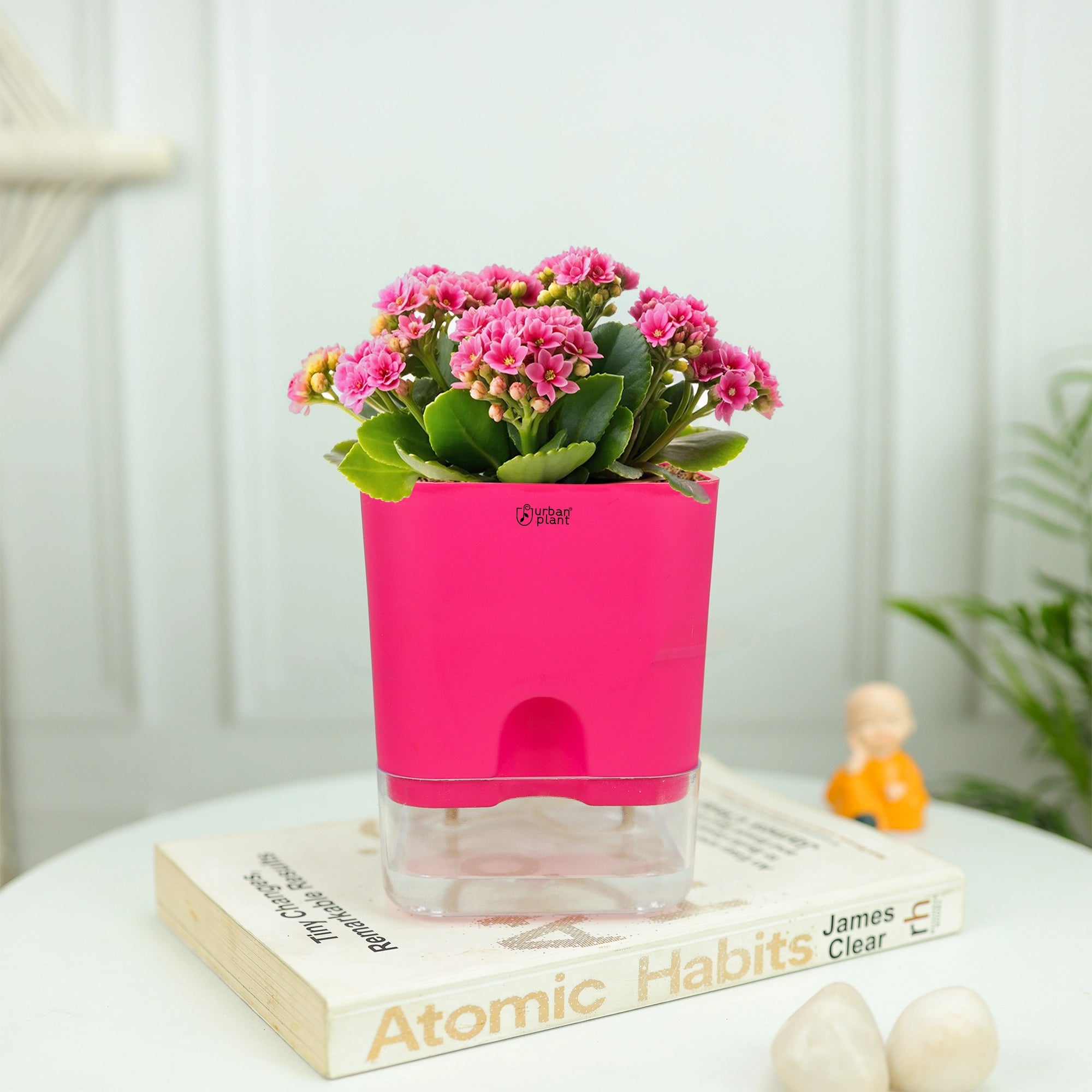 Self-Watering Pot - 5" Plastic Pot Urban Plant 