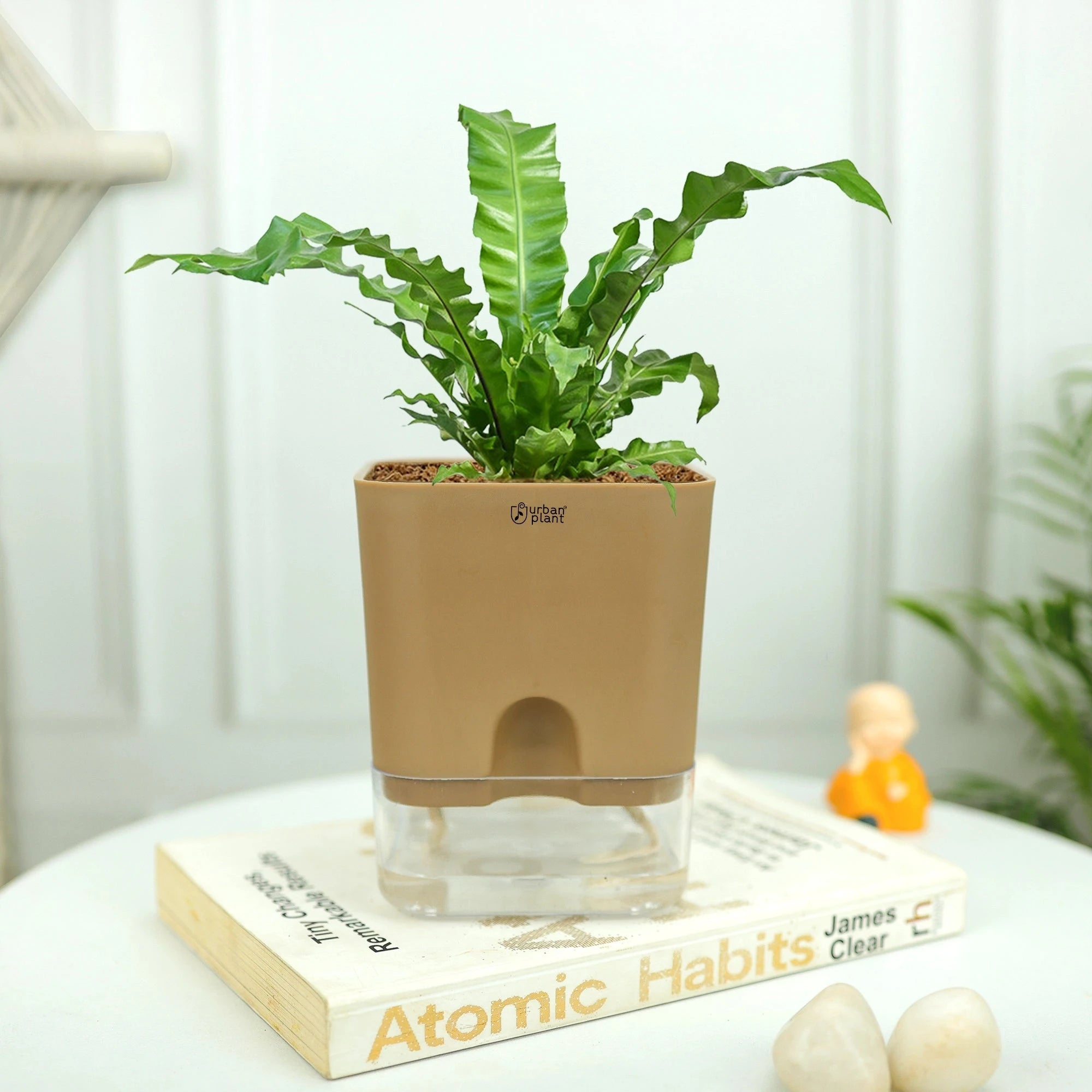 Aquaflow Self Watering Pot Plastic Pot Urban Plant 