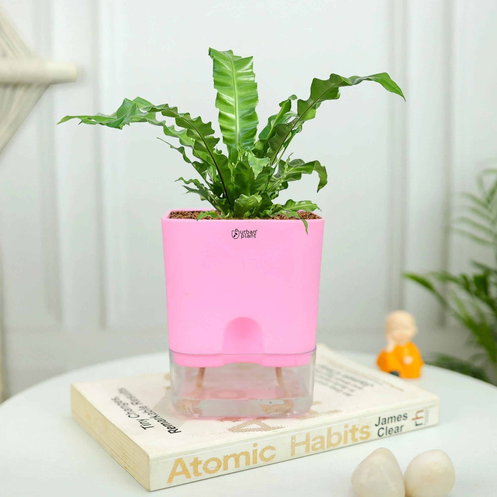 Aquaflow Self Watering Pot Plastic Pot Urban Plant 