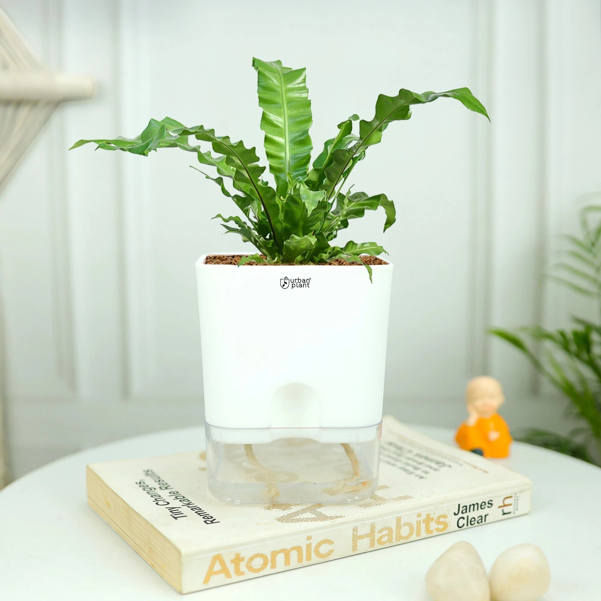 Aquaflow Self Watering Pot Plastic Pot Urban Plant 