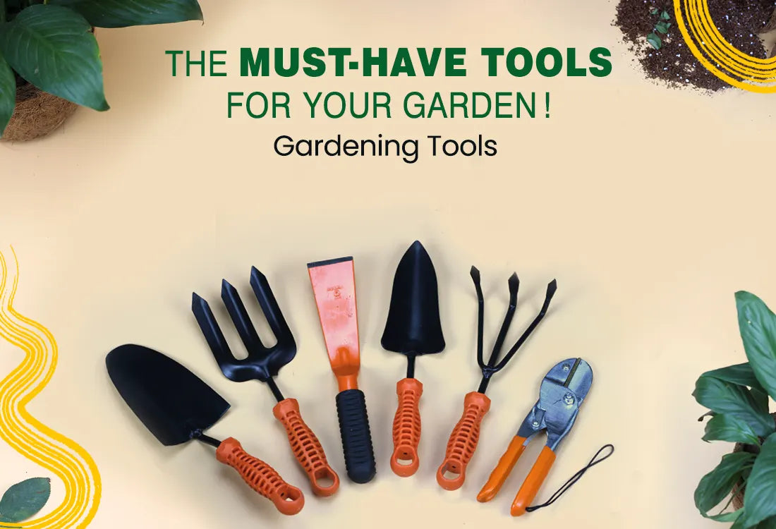 Plants, Pots, Tools & Accessories - Online Garden Store | Urban Plant