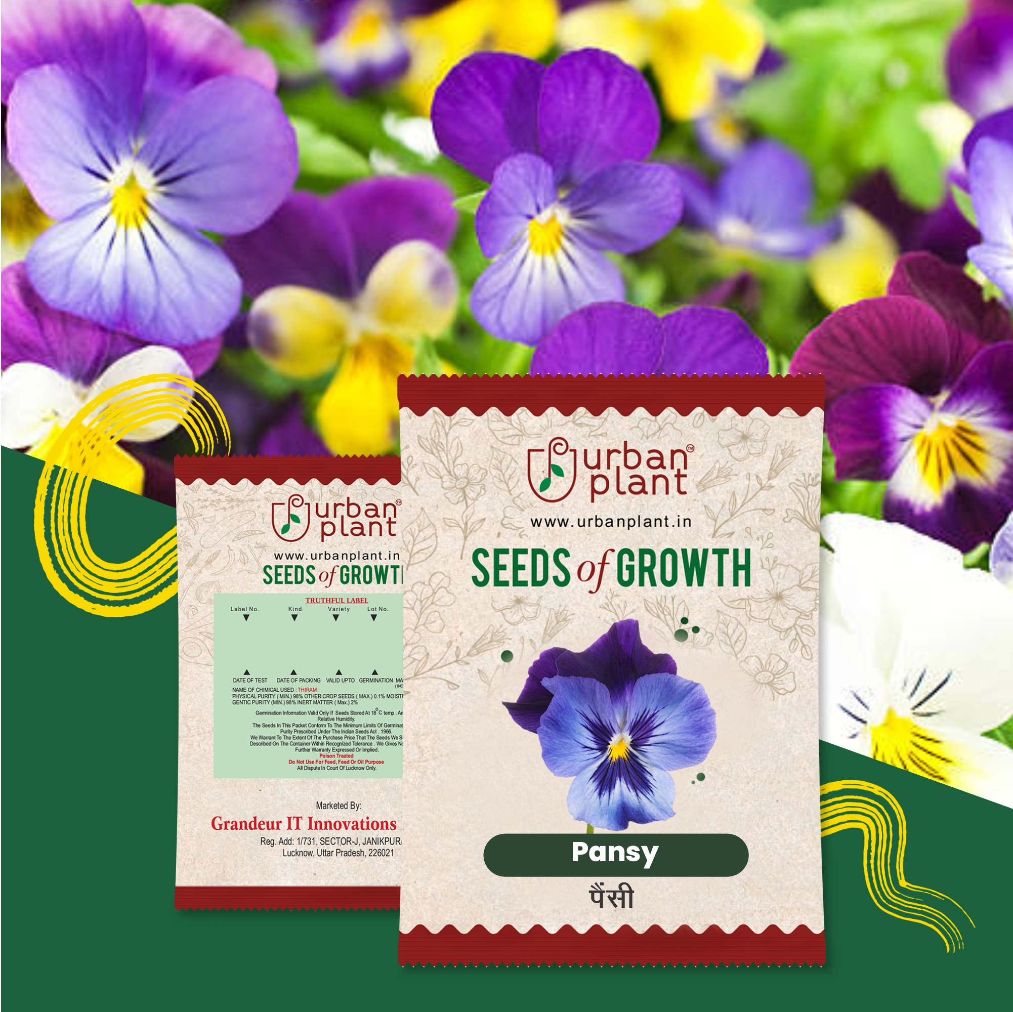 Pansy Flower Seeds Flower Seed Urban Plant 