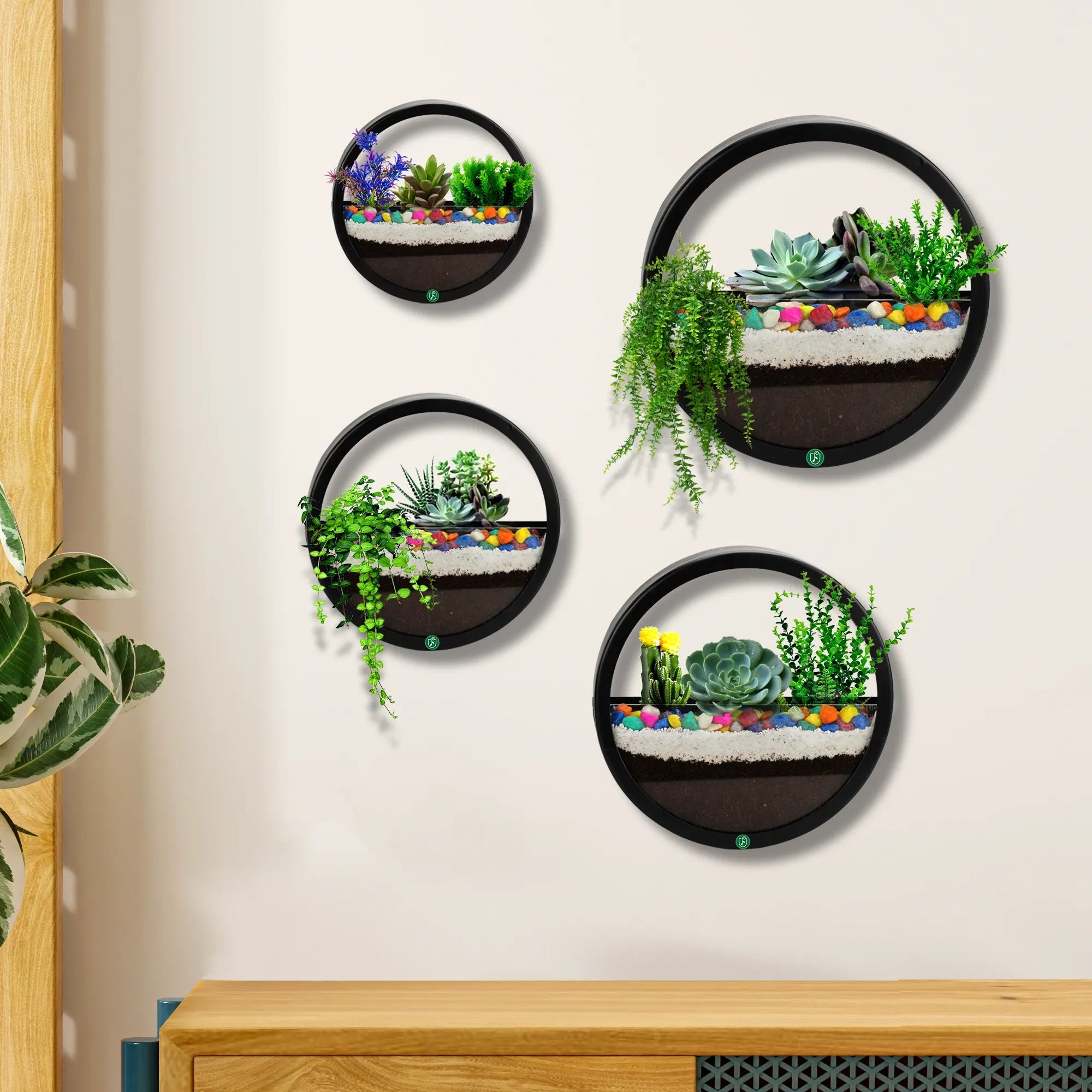 Image of Terrarium wall planter outdoor