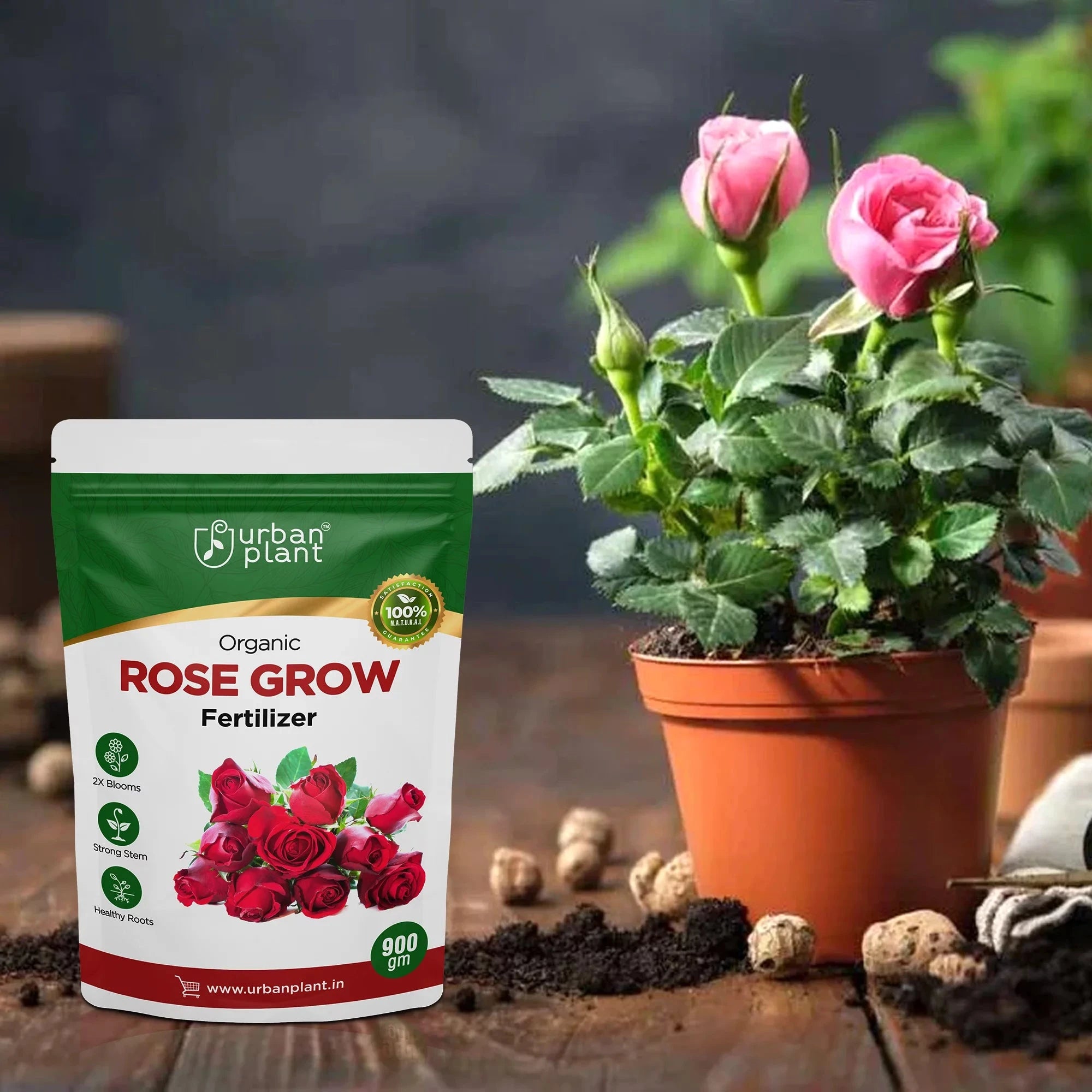 Rose Grow Fertilizer Potting Mix Urban Plant 