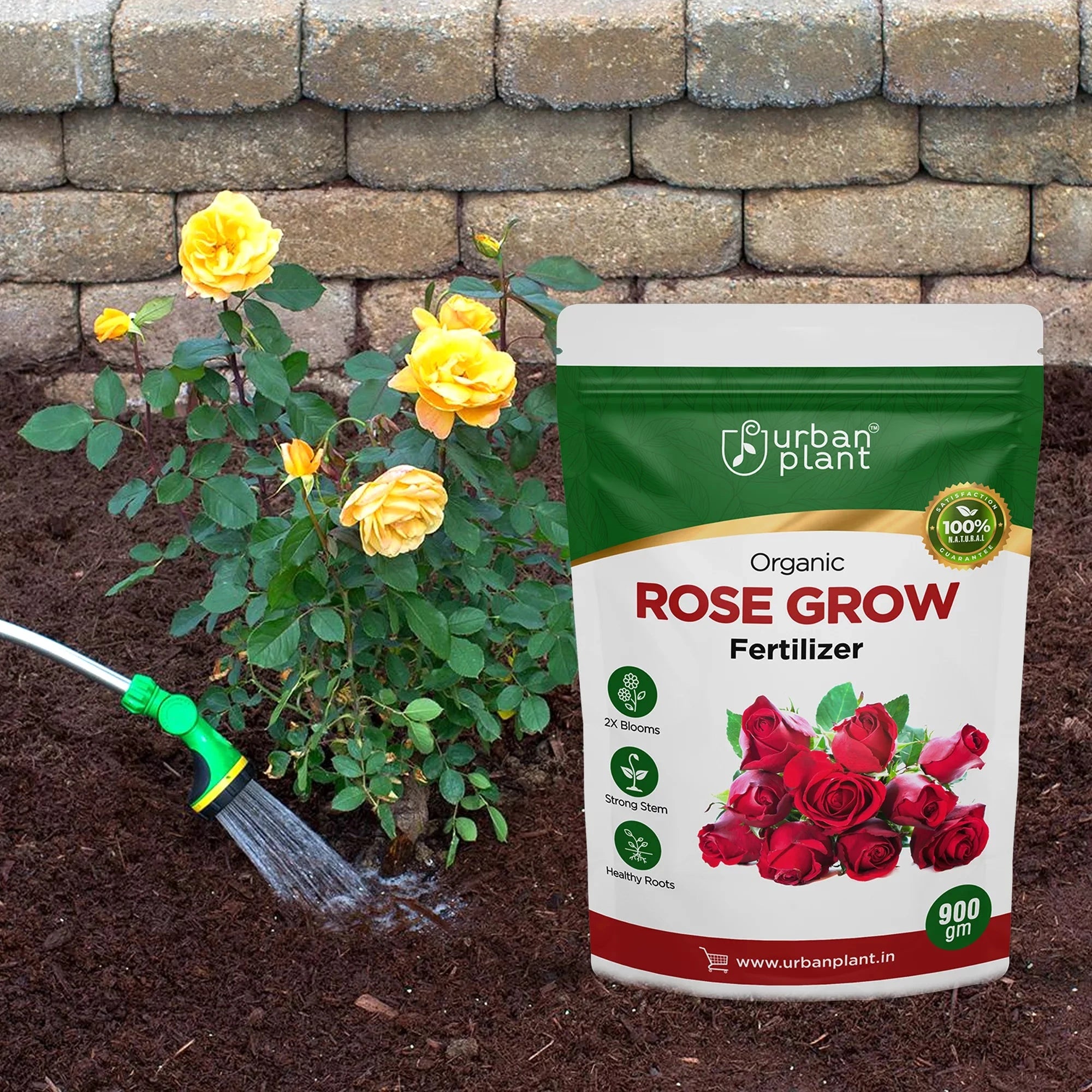 Rose Grow Fertilizer Potting Mix Urban Plant 