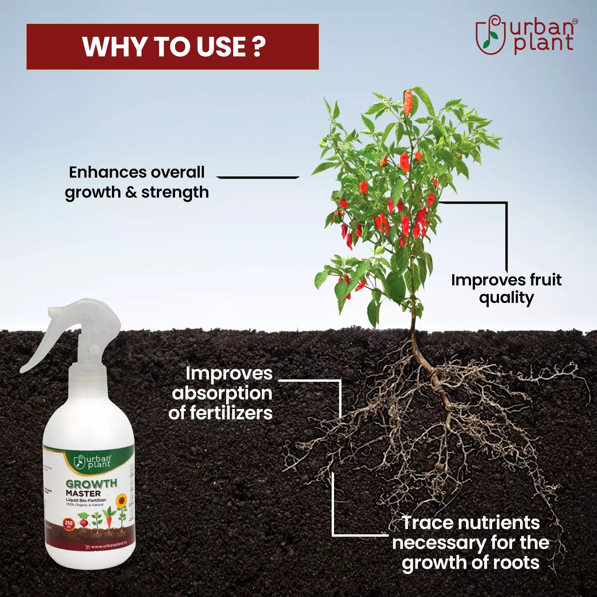 Growth Master Liquid Fertilizer for Vegetables, Fruits and Greenie Plant Diet Urban Plant 