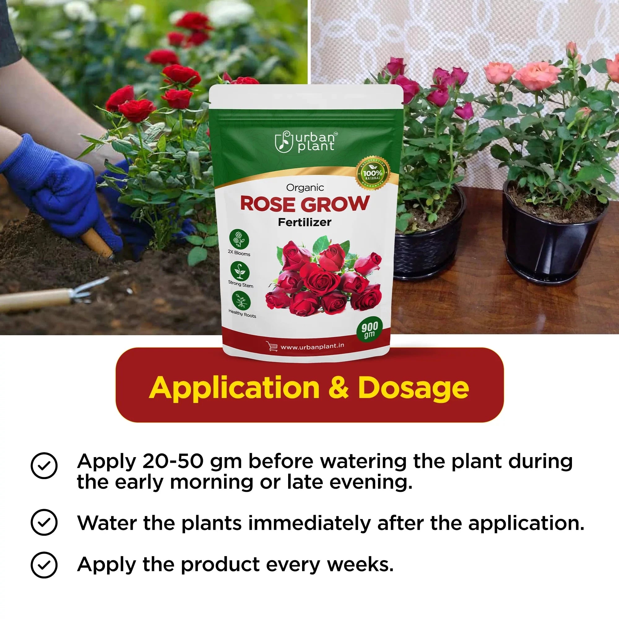 Rose Grow Fertilizer Potting Mix Urban Plant 