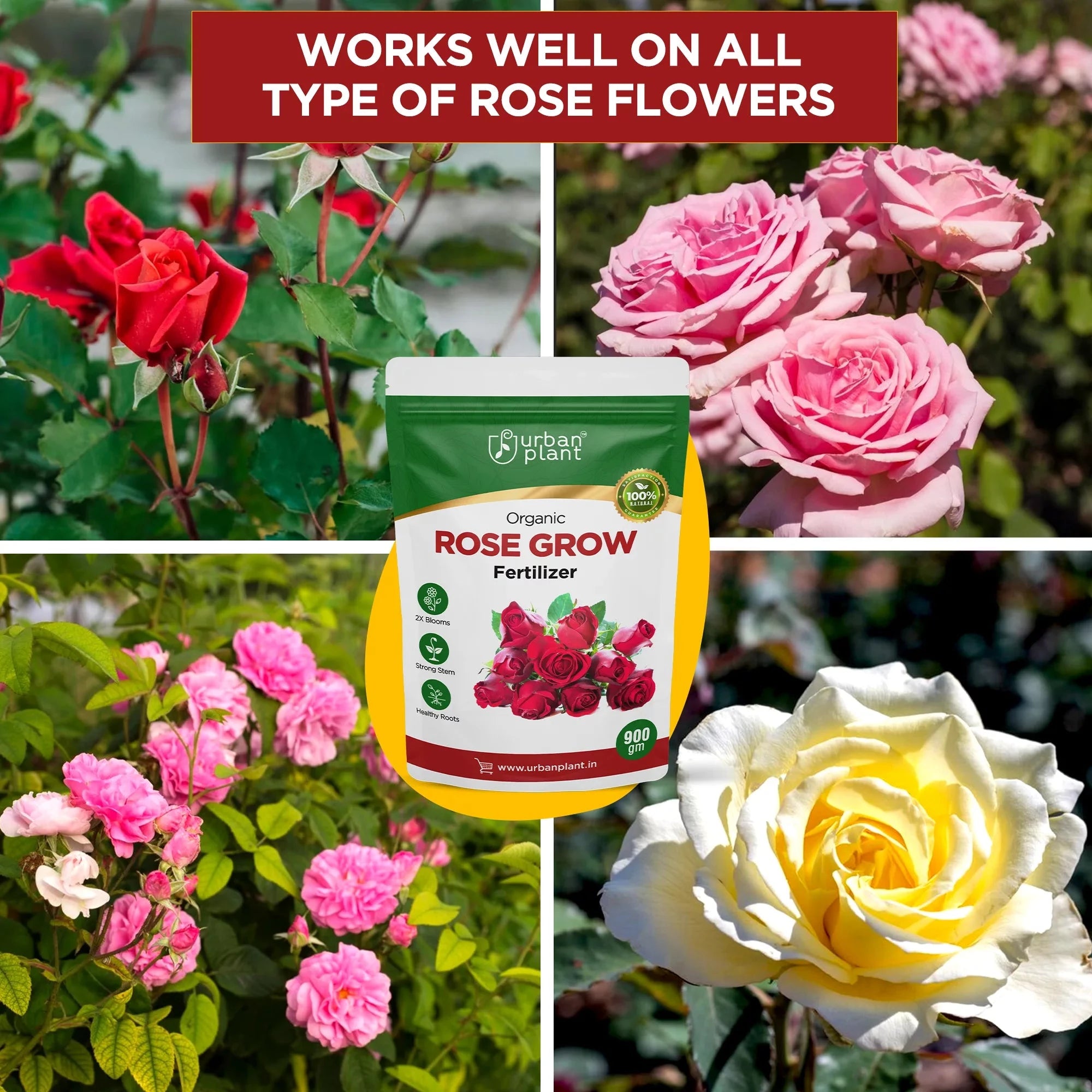 Rose Grow Fertilizer Potting Mix Urban Plant 