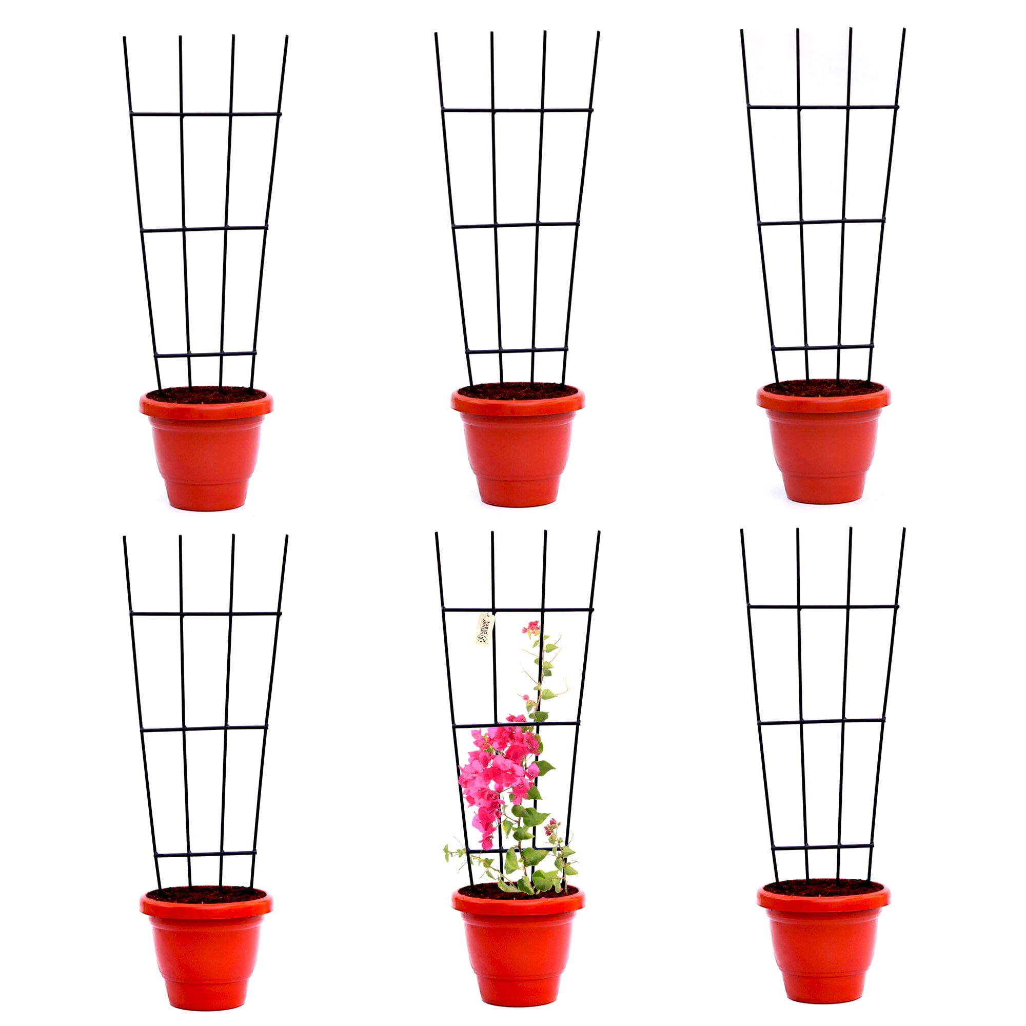 Urban Plant Greenweave Trellis for Climbing Plants Gardening Accessories Urban Plant Pack of 6 