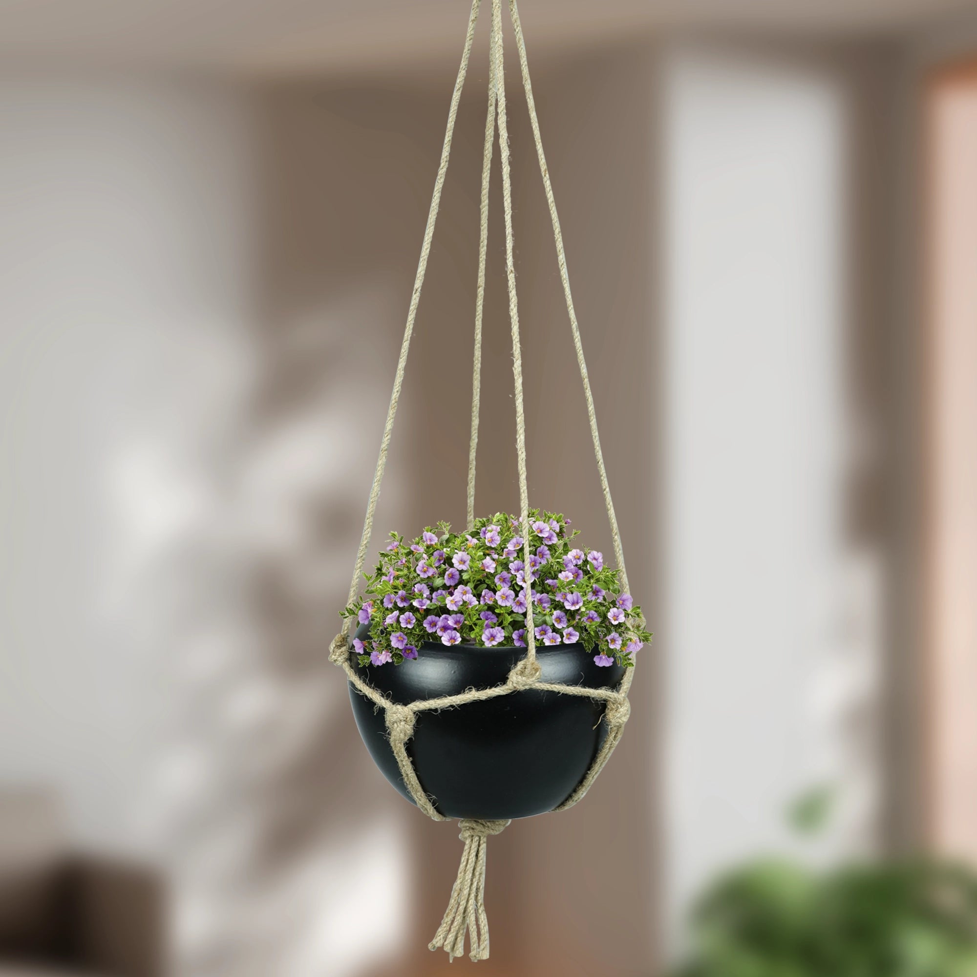 Hanging Round Planter with Jute Rope Matte Metal Planter Urban Plant White 