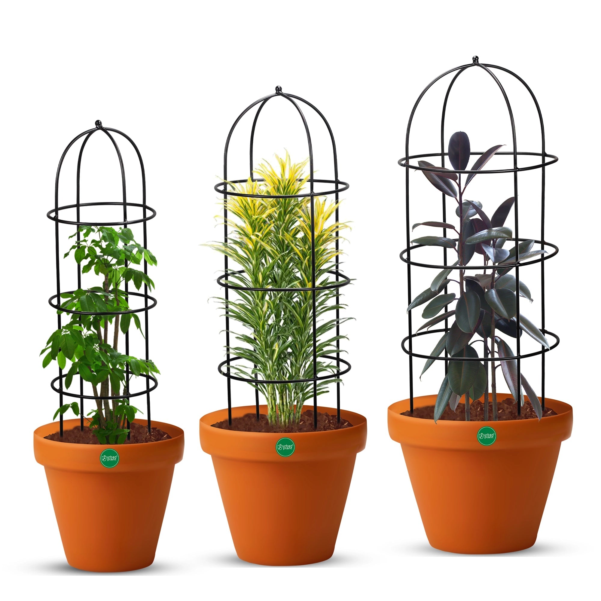 Urban Plant Trellis for Plant Protection (Set of 3) - 1193 ABC Gardening Accessories Urban Plant 