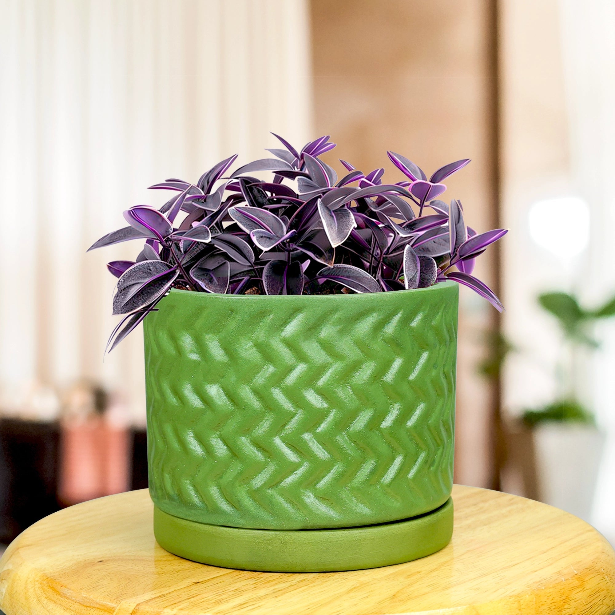 Fresh Breath Terracotta Pot with Saucer Urban Plant Zigzag 