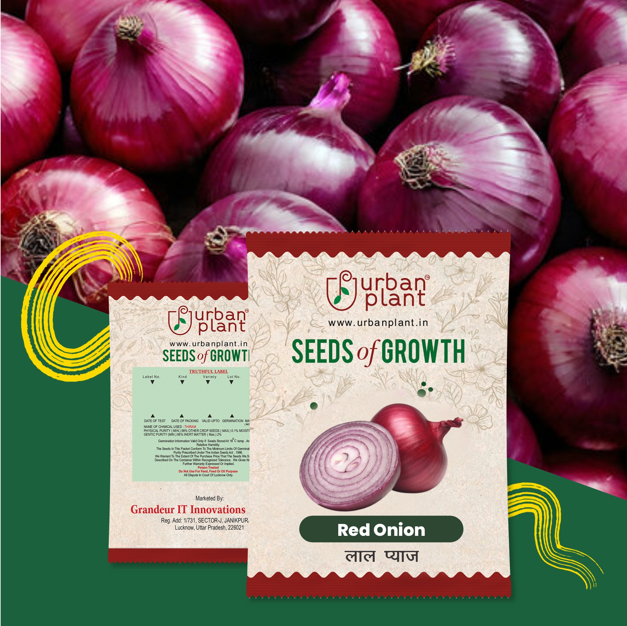 Red Onion Seeds Vegetable Seed Urban Plant 