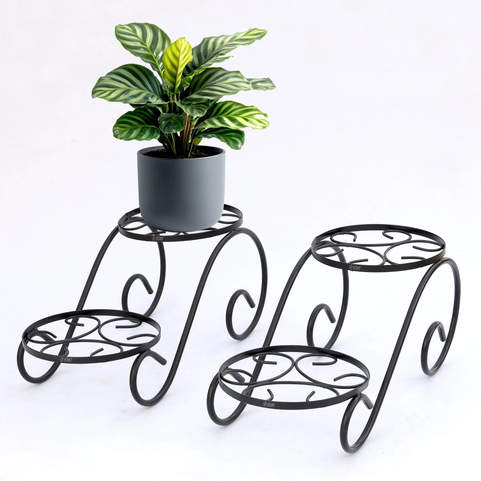 Urban Plant Twinset Stand for Plants (Pack of 2) Urban Plant 