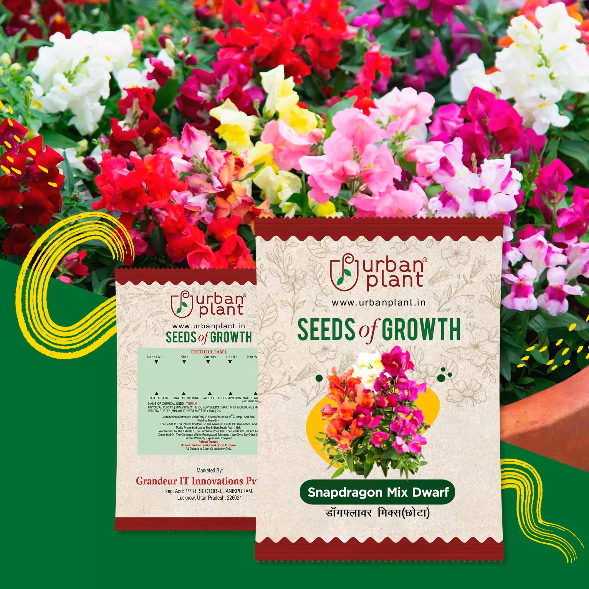 Snapdragon Mix (Dwarf) Flower Seeds Flower Seed Urban Plant 