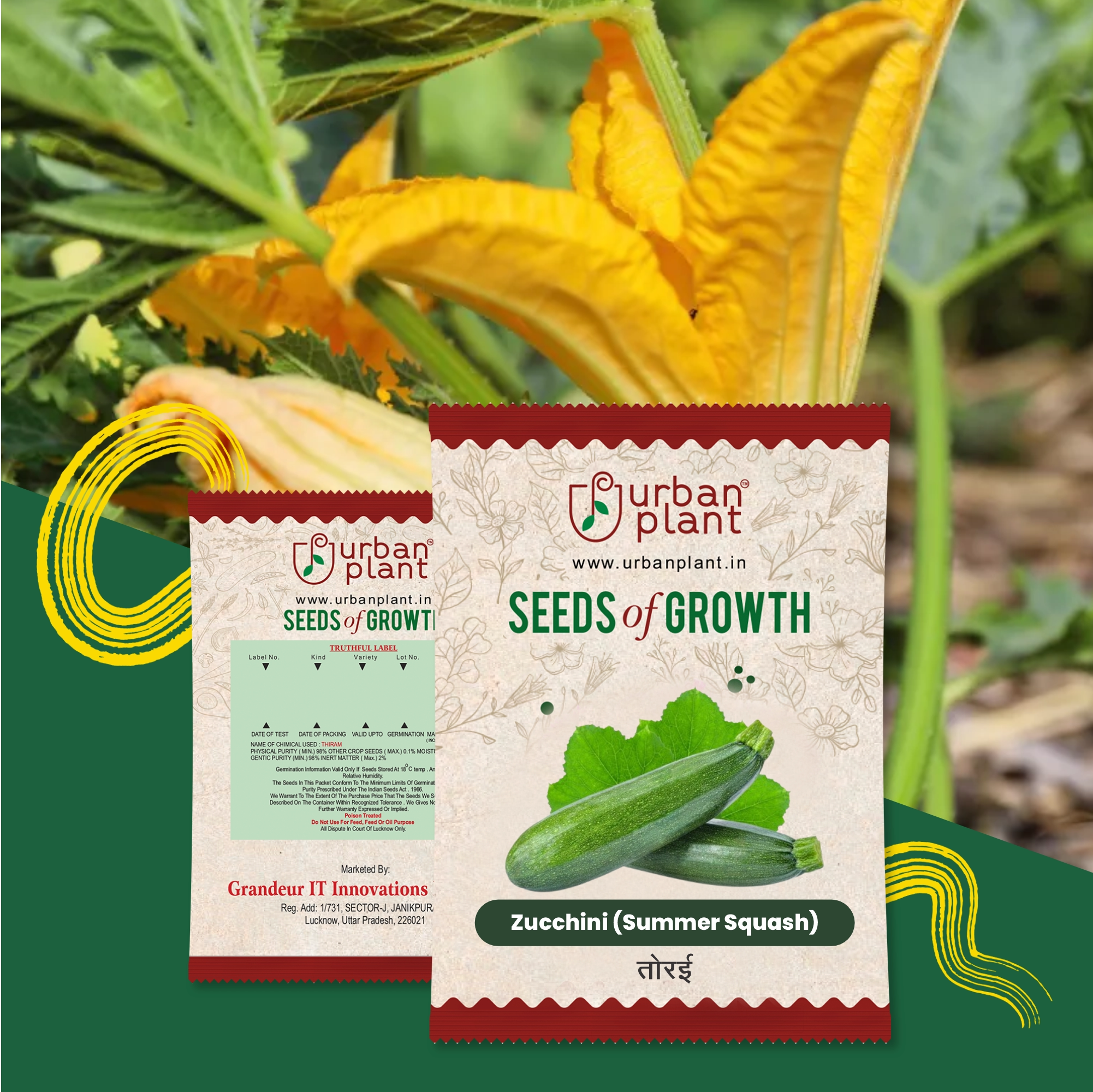 Zucchini (Summer Squash) Seeds Vegetable Seed Urban Plant 