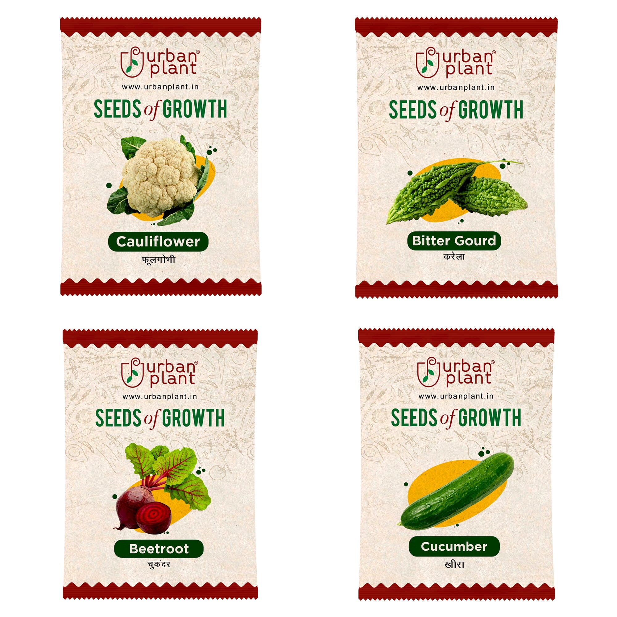 Vegetable Seeds Combo – (Cauliflower, Bitter Gourd, Beetroot, Cucumber) Vegetable Seed Urban Plant 