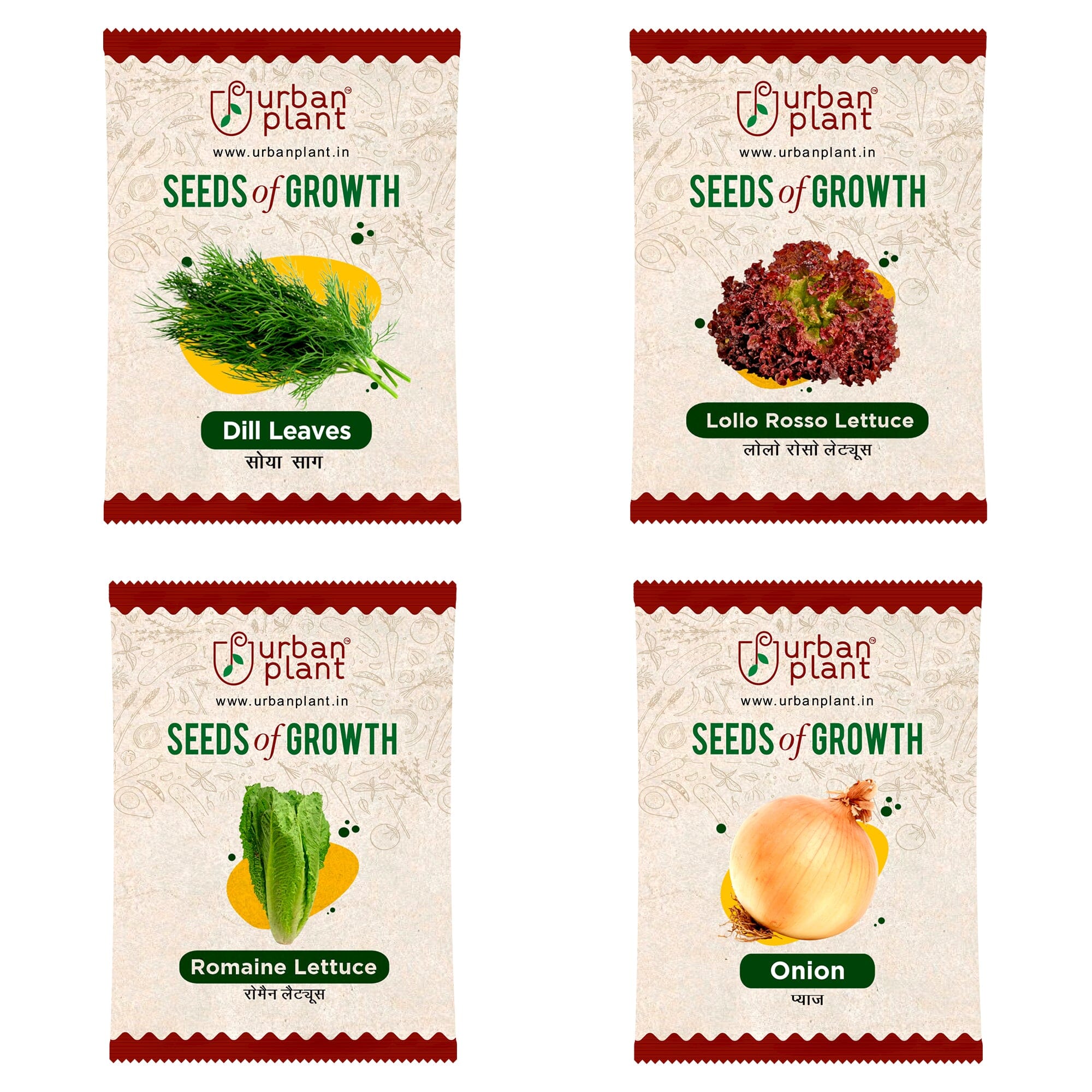 Vegetable Seeds Combo – (Dill Leaves, Lollo Rosso Lettuce, Romaine Lettuce, Pink Onion) Vegetable Seed Urban Plant 