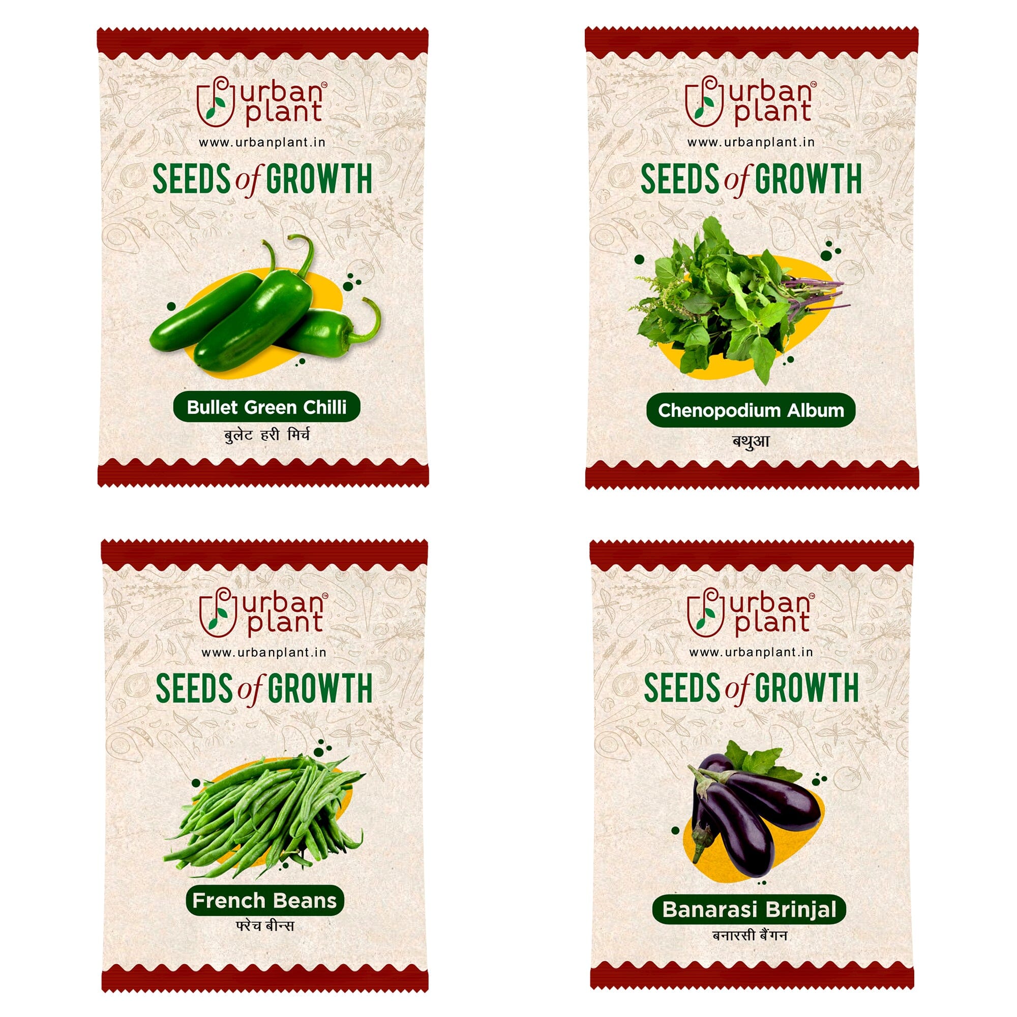 Vegetable Seeds Combo – (Bullet Green Chilli, Chenopodium Album, French Bean, Banarasi Brinjal) Vegetable Seed Urban Plant 