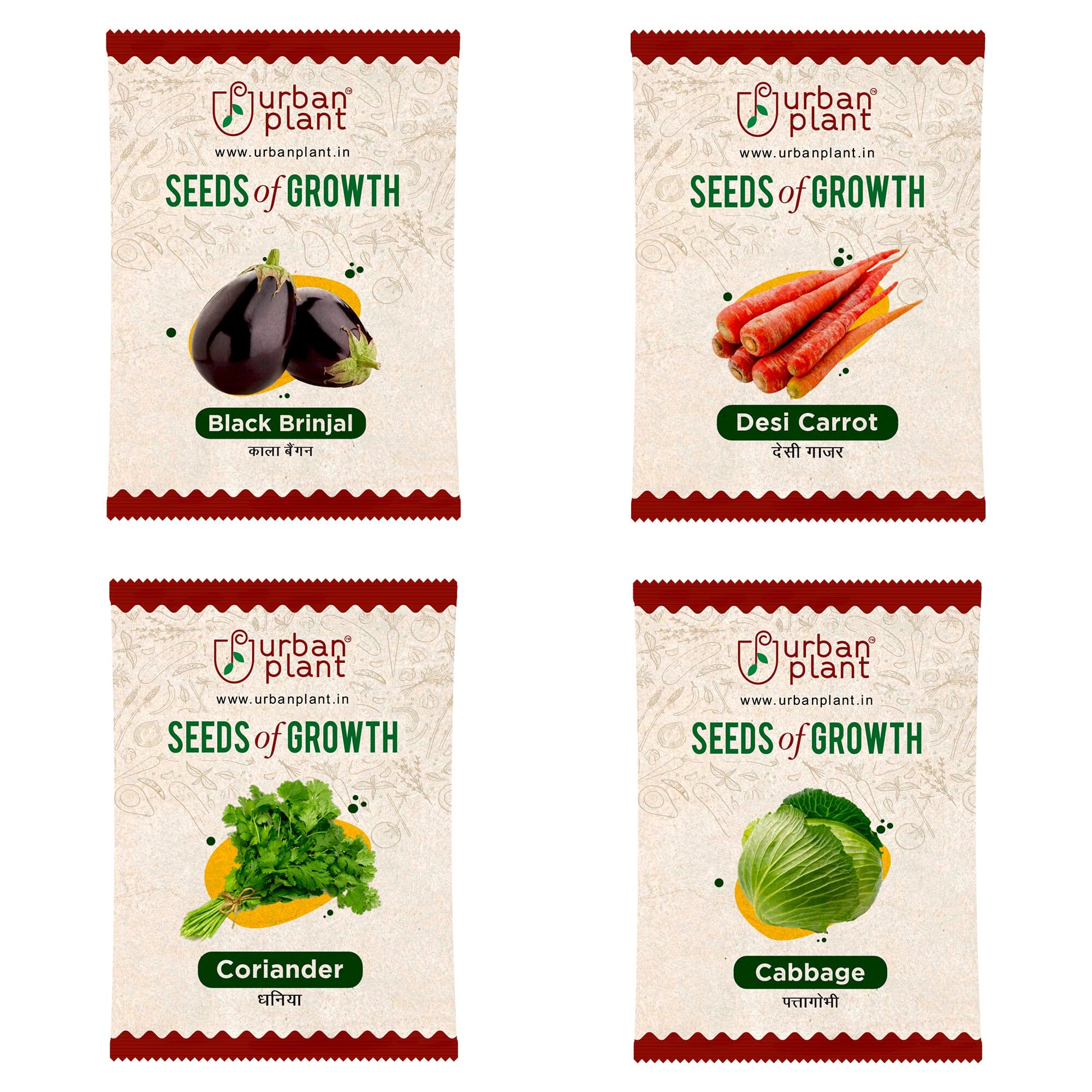 Vegetable Seeds Combo – (Black Brinjal, Carrot, Coriander, Cabbage) Vegetable Seed Urban Plant 