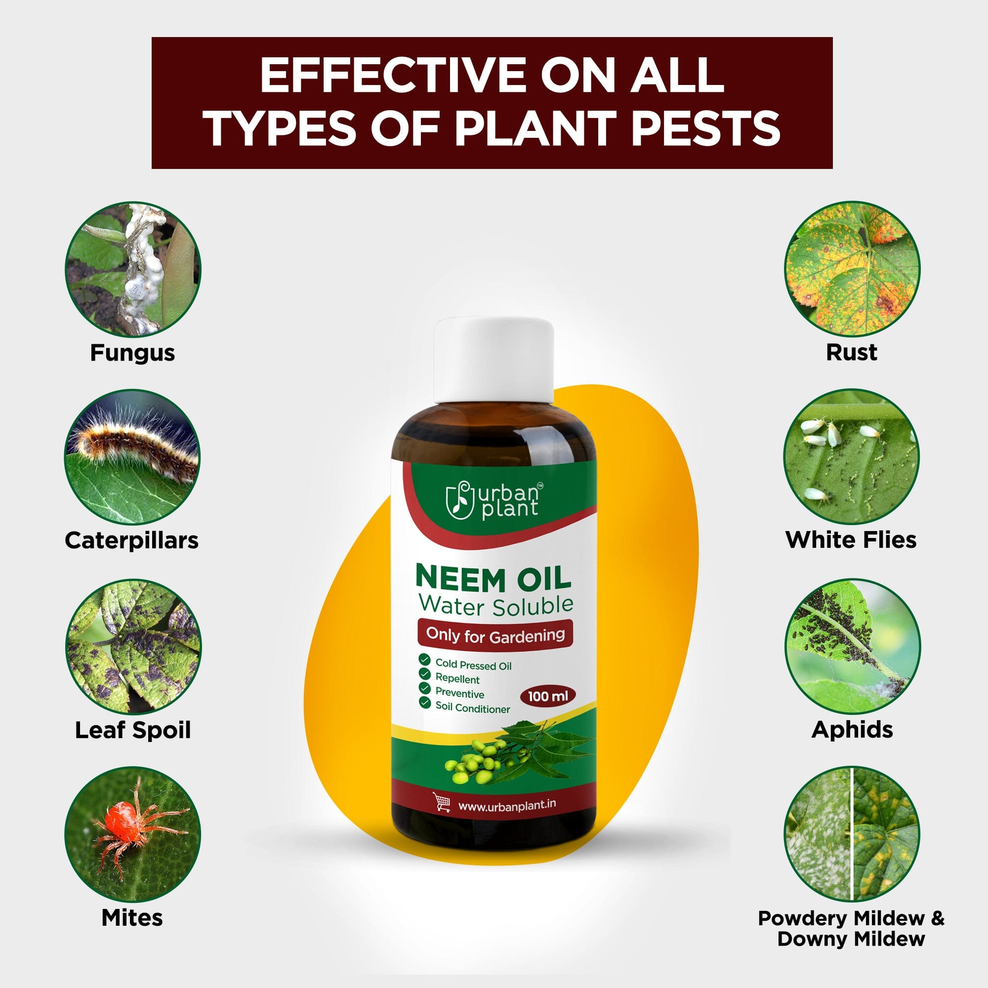 Neem Oil Water Soluble Organic Spray for Gardening Plant Care Urban Plant 