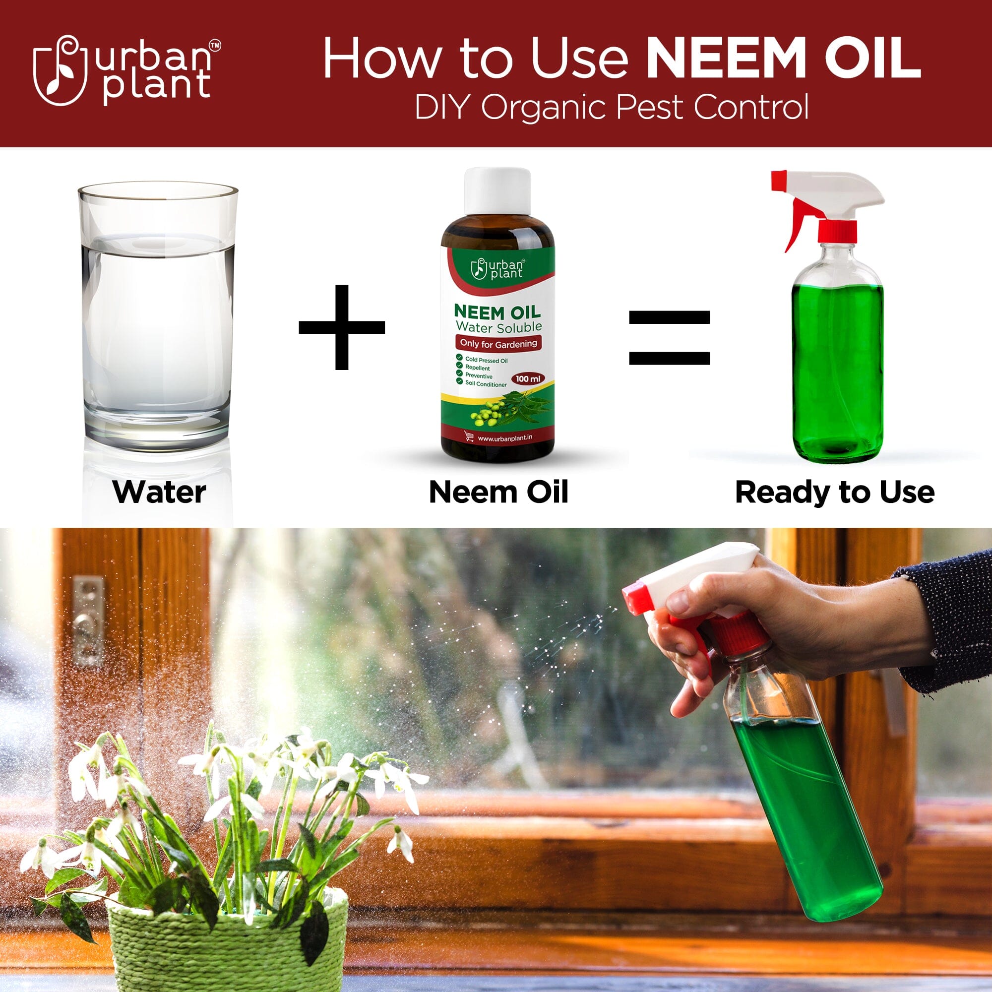 Neem Oil Water Soluble Organic Spray for Gardening Plant Care Urban Plant 