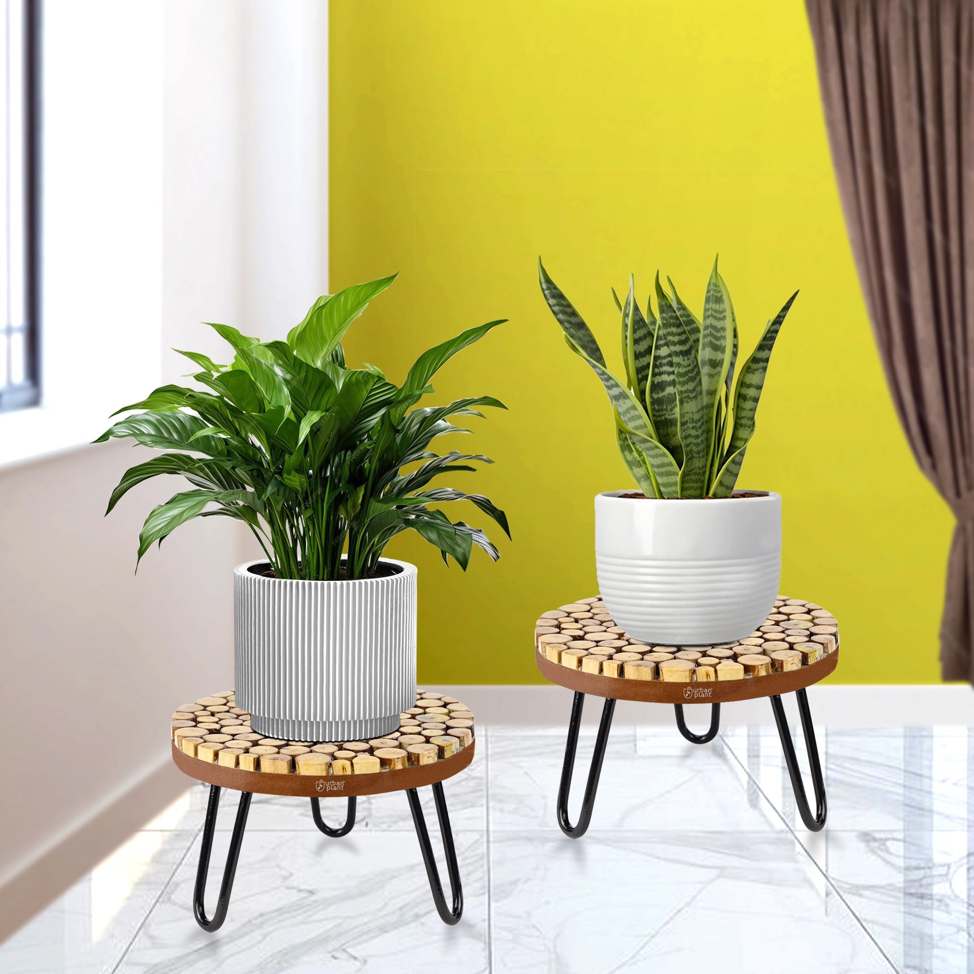 Urban Plant Verdura Wooden Stand for Plant | Pack of 2 Urban Plant 