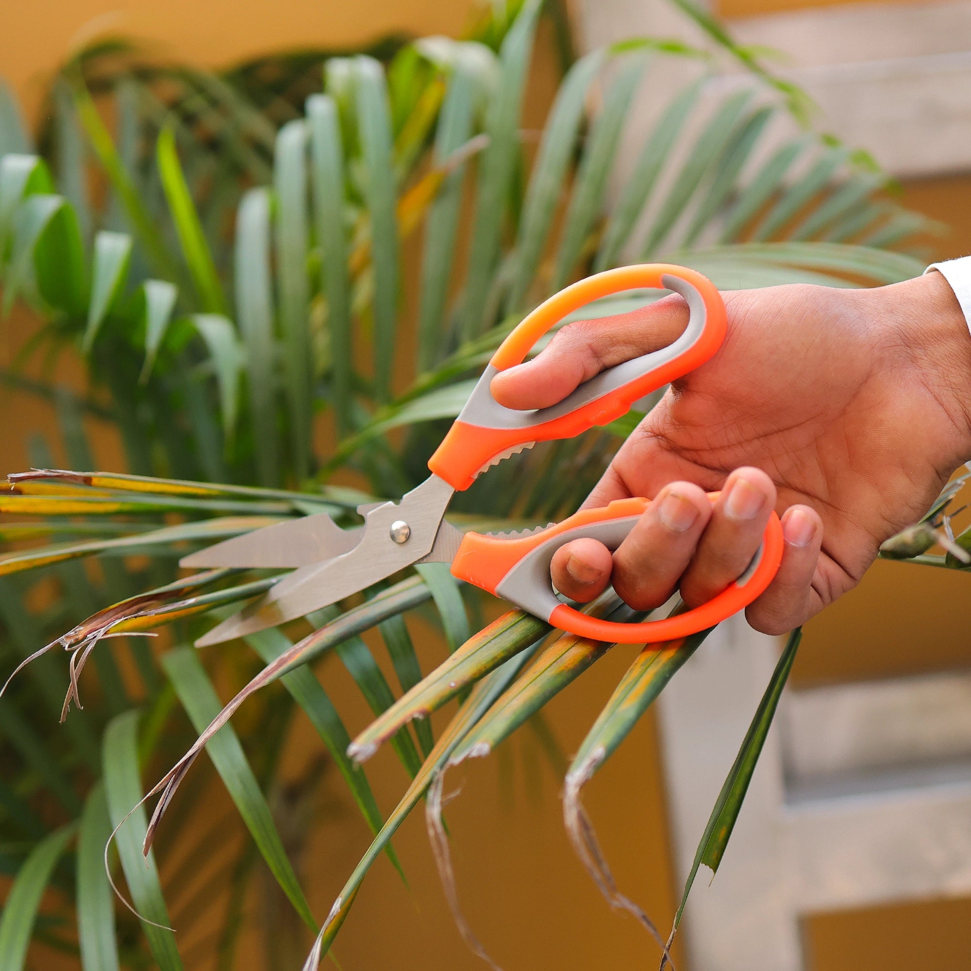 Urban Plant Gardening Scissors Urban Plant 