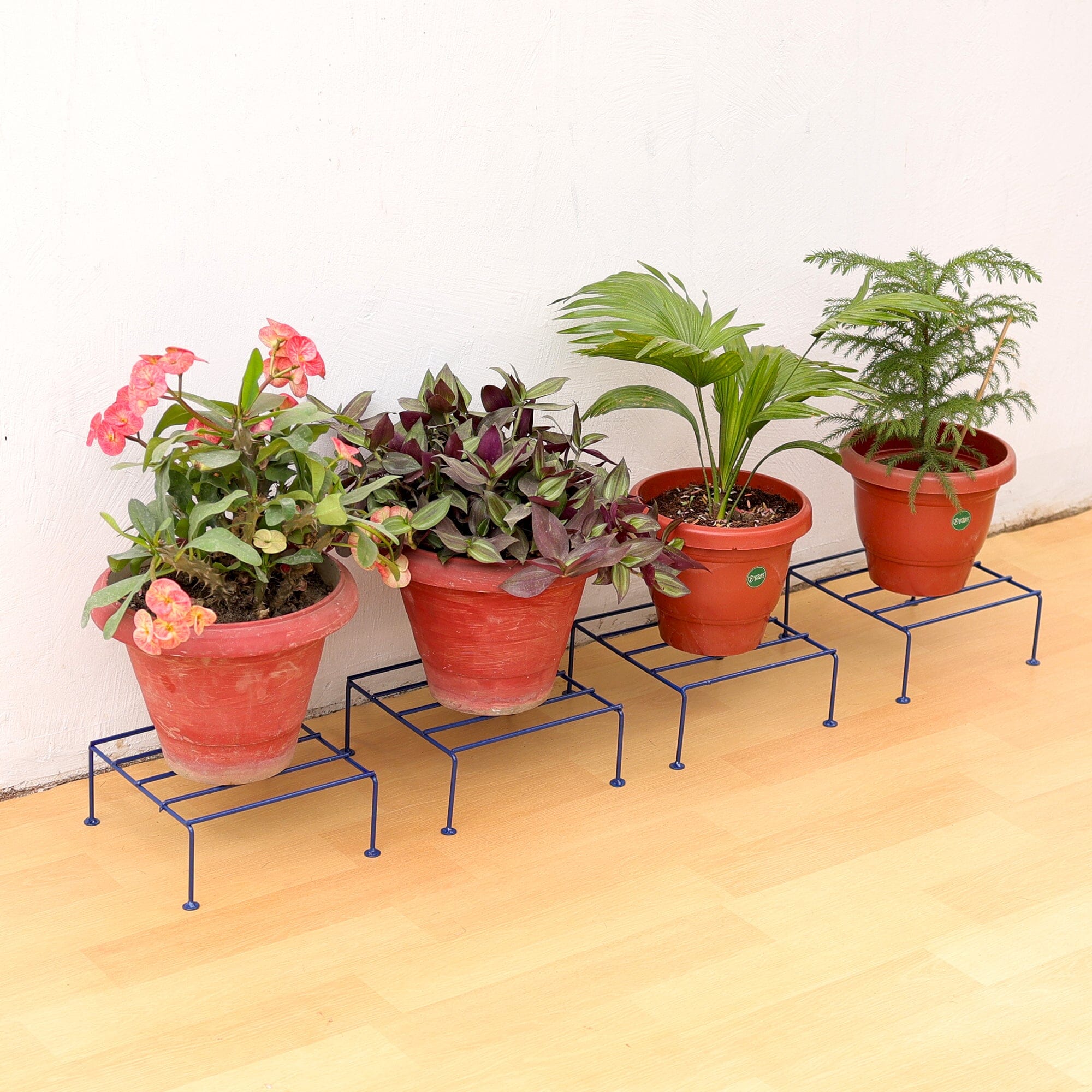 Urban Plant Titanium Stand (Set of 4 - Blue) Metal Stand Urban Plant 