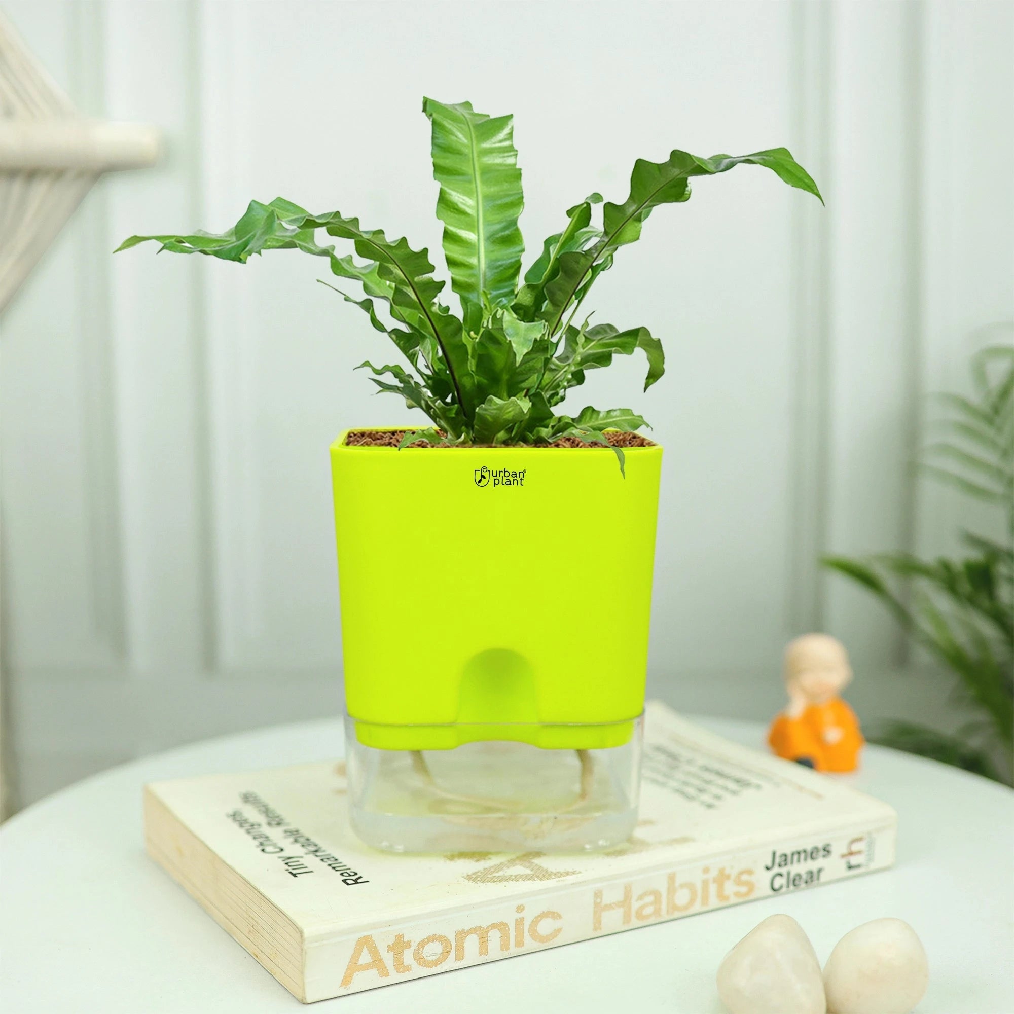 Aquaflow Self Watering Pot Plastic Pot Urban Plant 