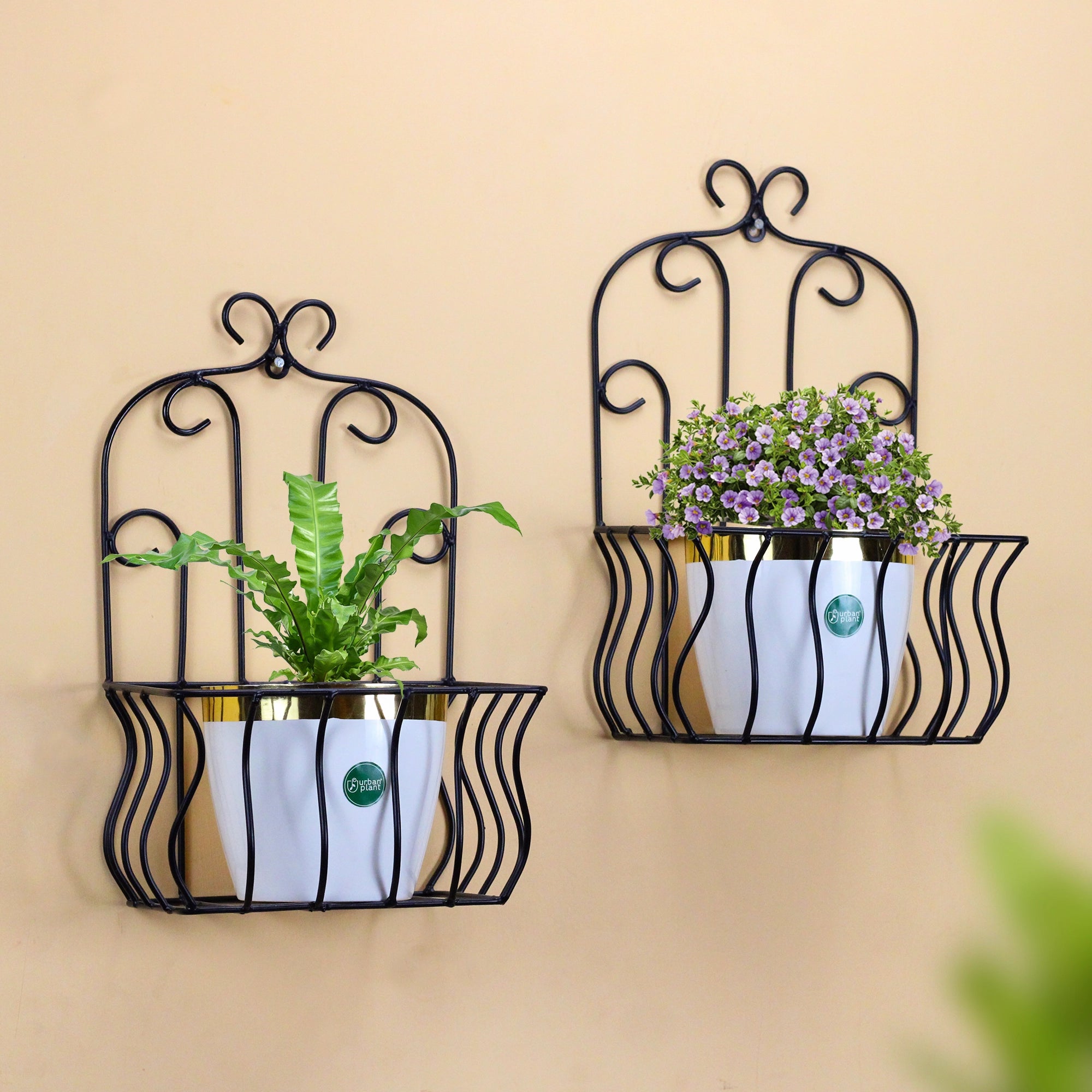 Urban Plant Designer Wall Mounting Plant Holder / Pack of 2 Urban Plant 