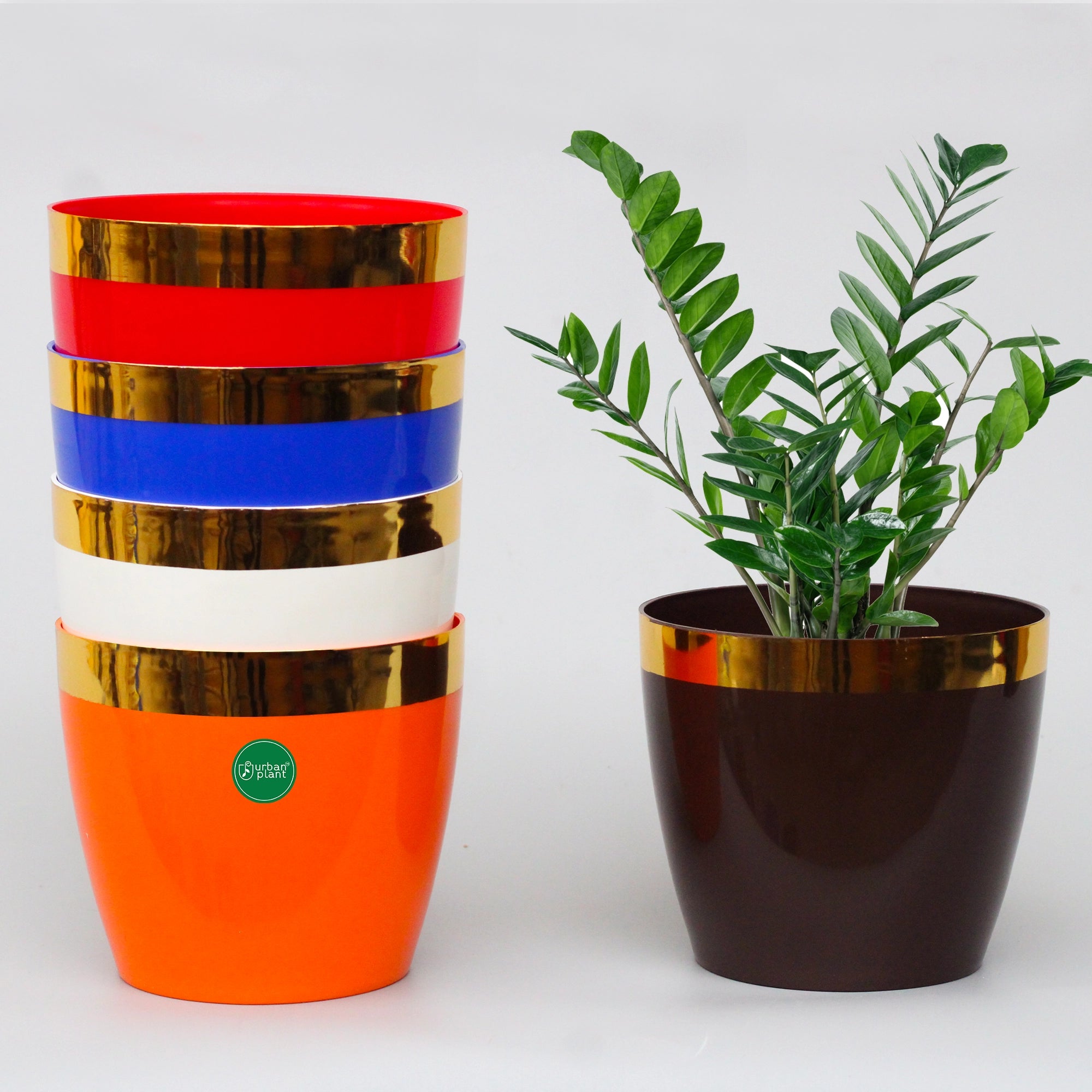 Mini Plastic Pots (5 inch) - Set of 5 Plastic Pot Urban Plant Multicolor 