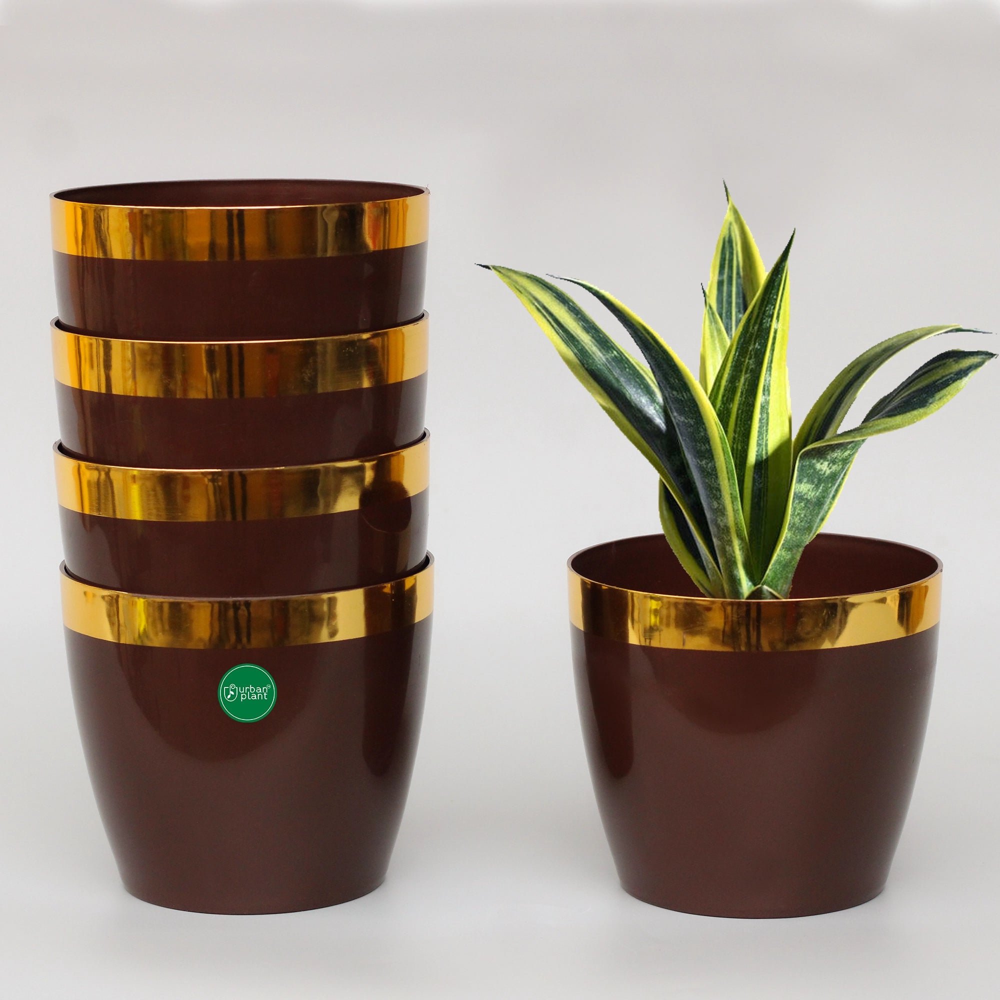 Mini Plastic Pots (5 inch) - Set of 5 Plastic Pot Urban Plant Brown 