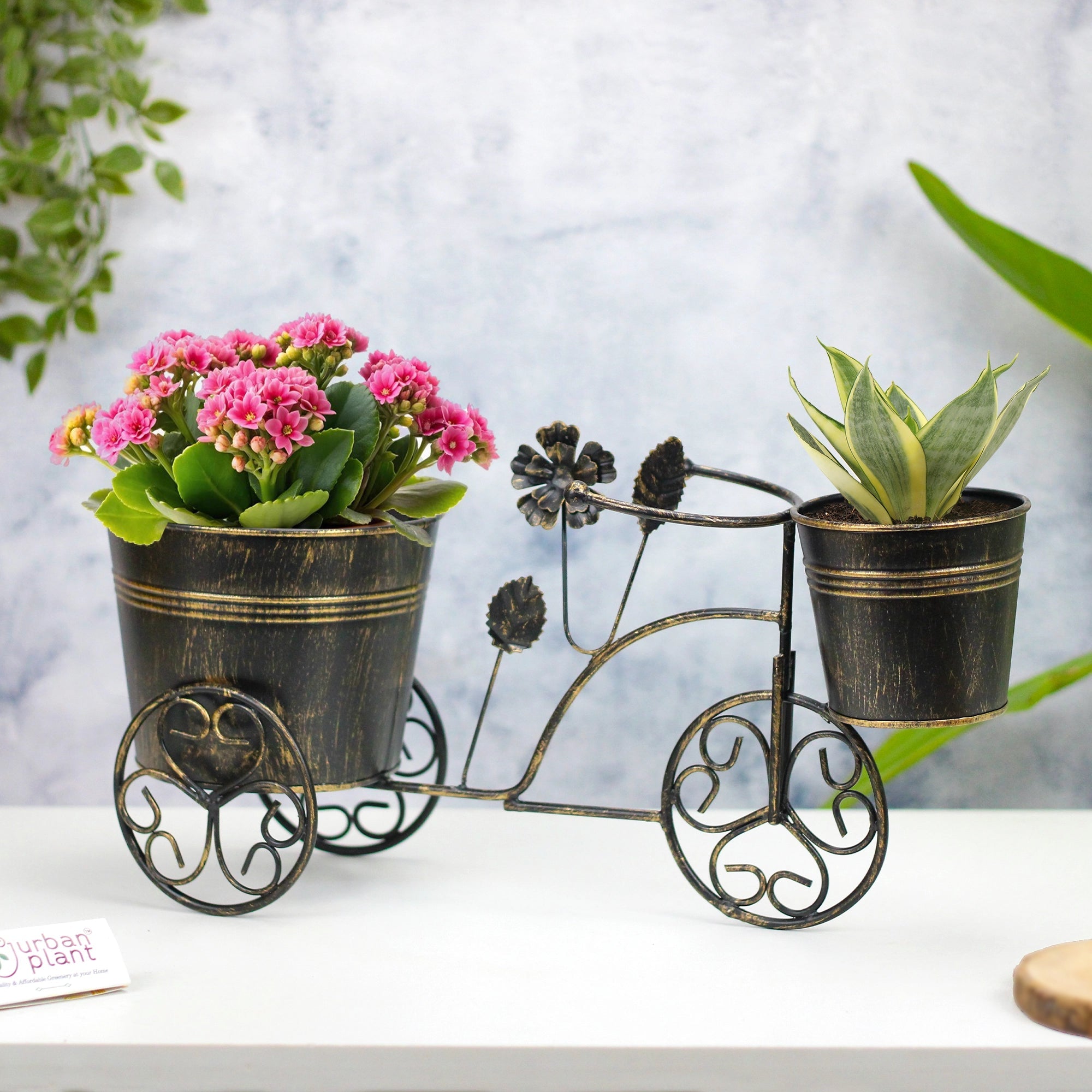 Antique Decorative Rickshaw Metal Planter - 1132 Metal Planter Urban Plant 