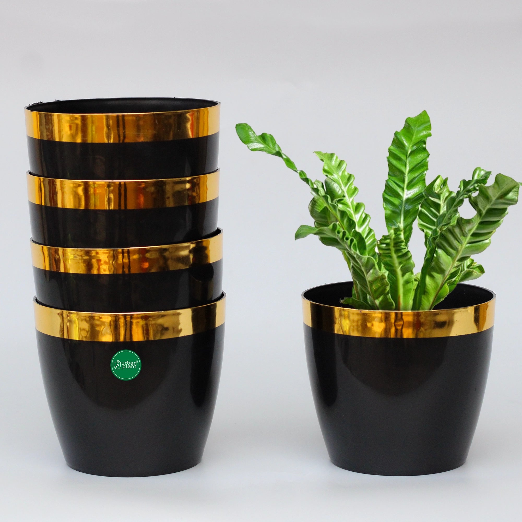 Mini Plastic Pots (5 inch) - Set of 5 Plastic Pot Urban Plant Black 