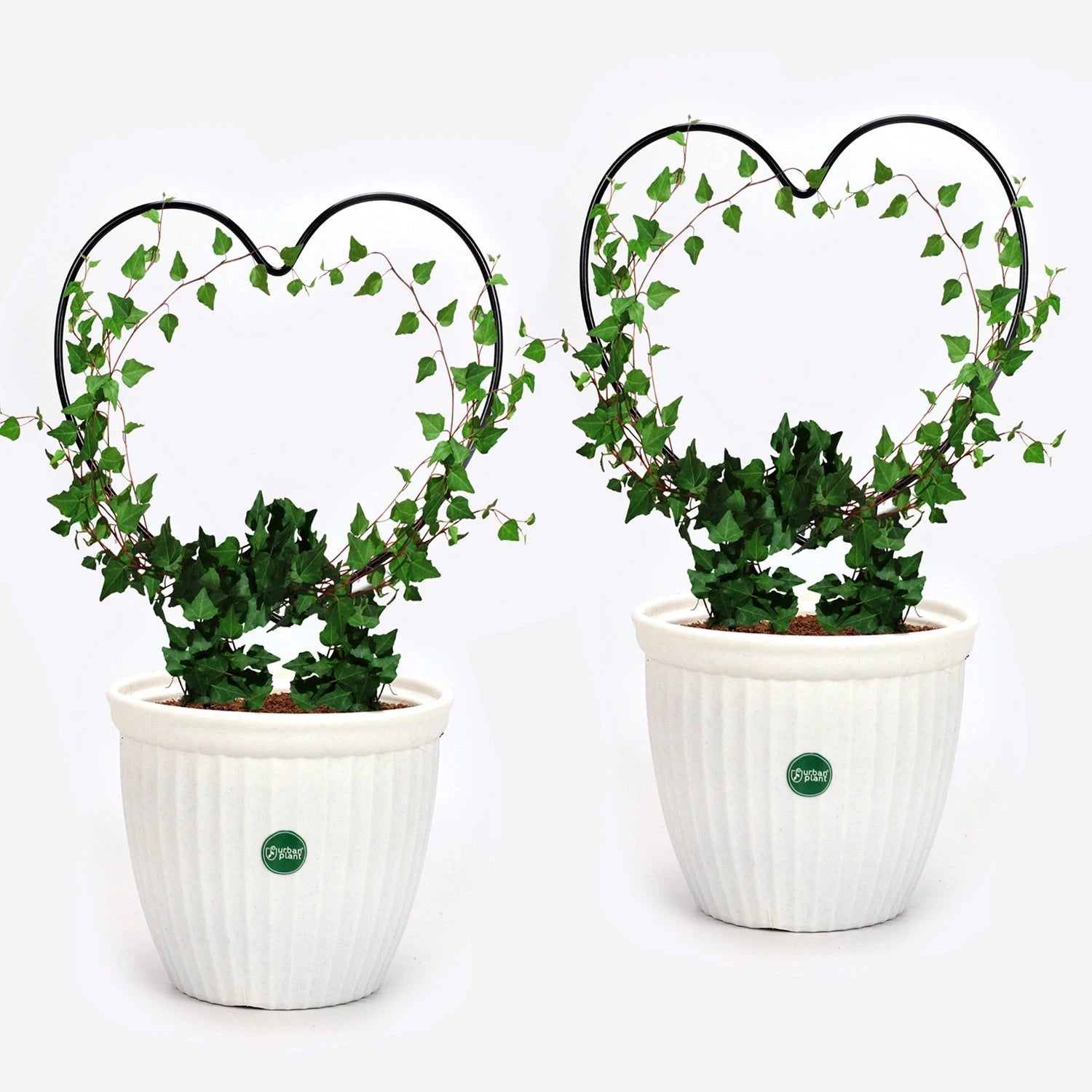 Urban Plant Heart Shaped Trellis for Climbing Plants - (Pack of 2) Gardening Accessories Urban Plant 