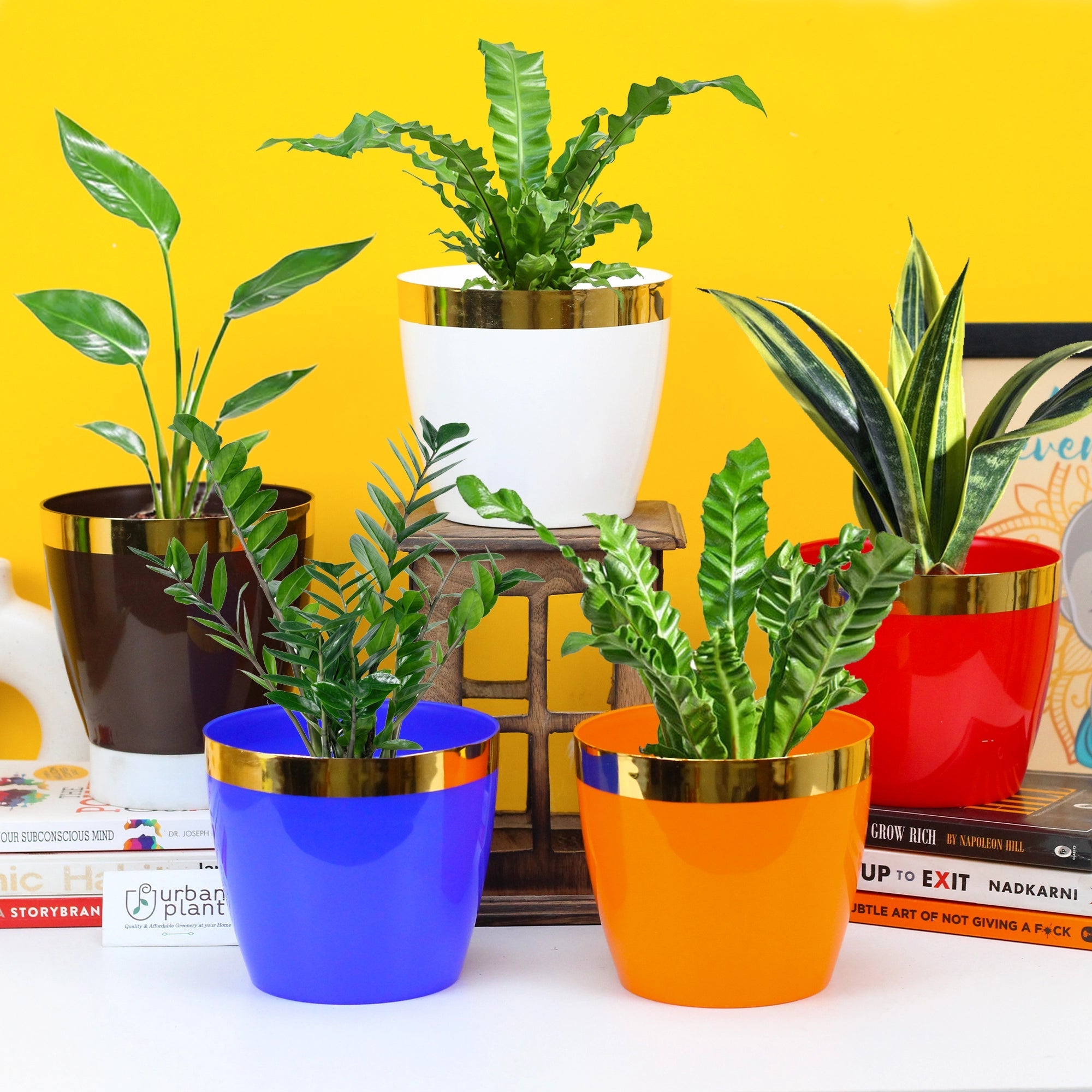 Mini Plastic Pots (5 inch) - Set of 5 Plastic Pot Urban Plant 